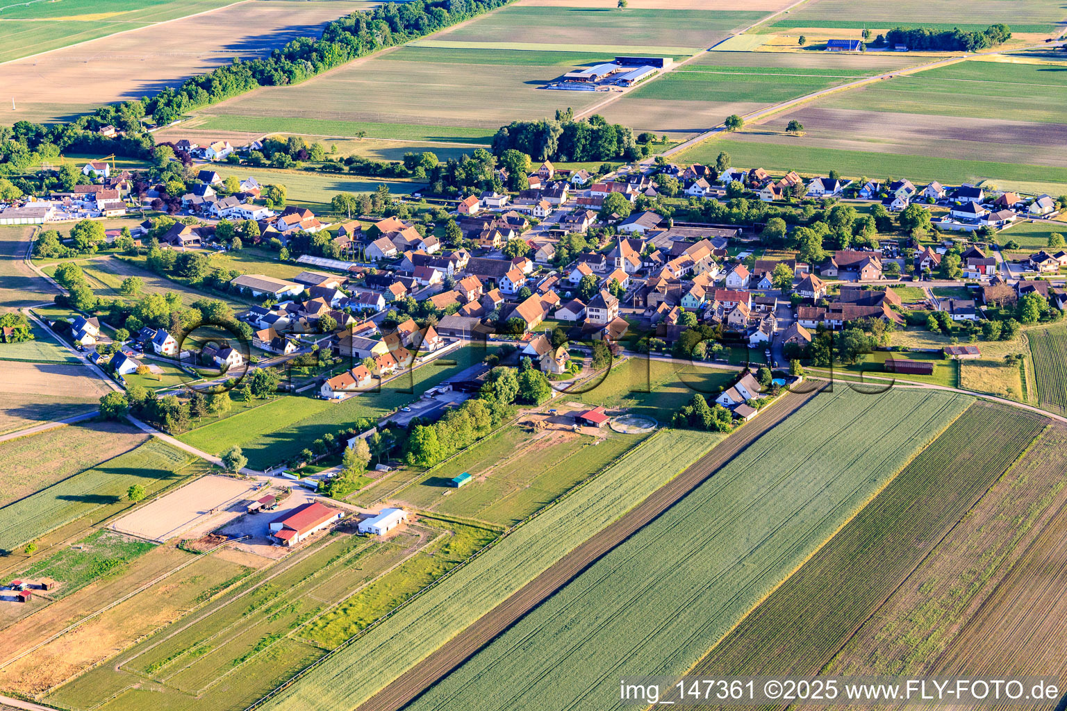 Vue aérienne de Vue du village depuis le nord à Schwobsheim dans le département Bas Rhin, France