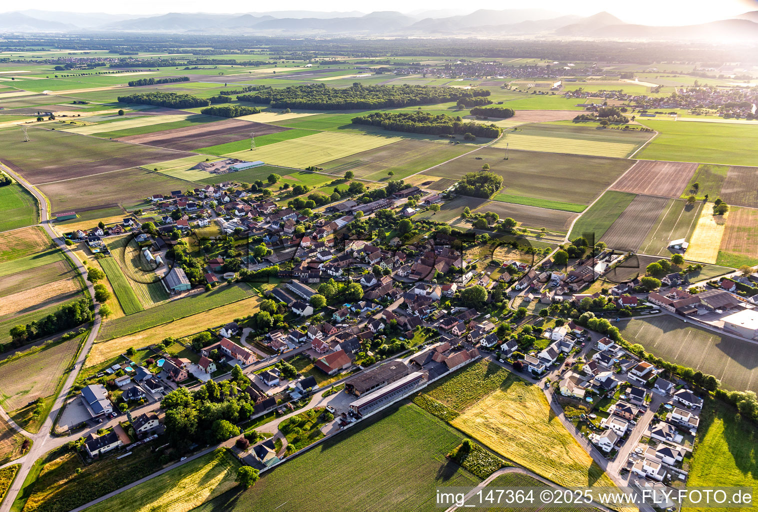 Vue aérienne de Vue du village depuis le nord-est à Bösenbiesen dans le département Bas Rhin, France