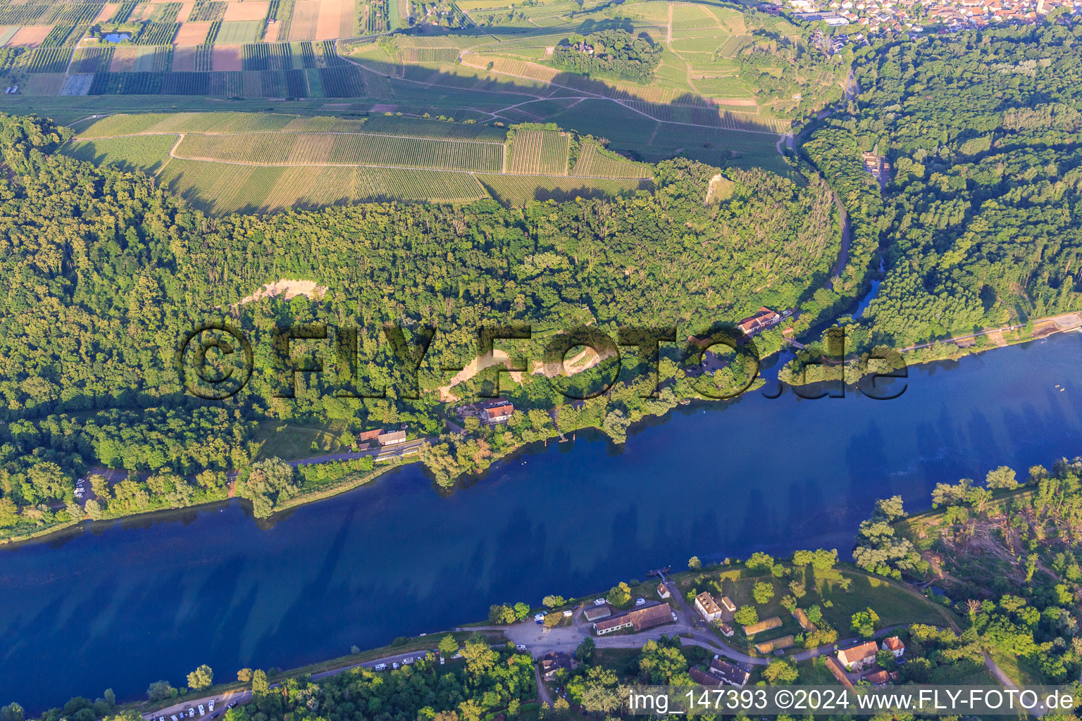 Vue aérienne de Limberg-sur-le-Rhin à Sasbach am Kaiserstuhl dans le département Bade-Wurtemberg, Allemagne