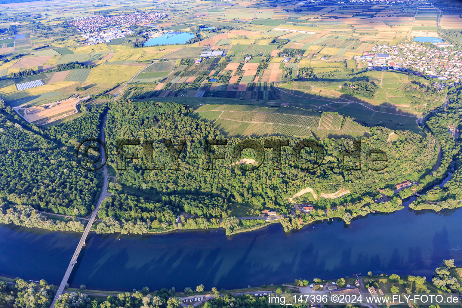 Vue aérienne de Zone de conservation paysagère de Limberg am Rhein à Sasbach am Kaiserstuhl dans le département Bade-Wurtemberg, Allemagne