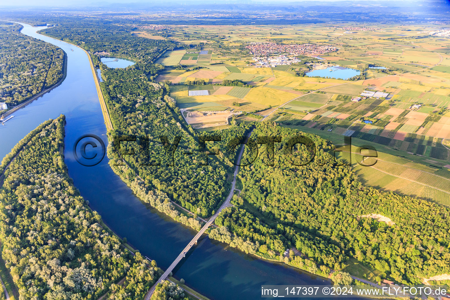 Vue aérienne de Pont du Rhin et pointe de l'île du Rhin entre le canal et le Rhin à Sasbach am Kaiserstuhl dans le département Bade-Wurtemberg, Allemagne