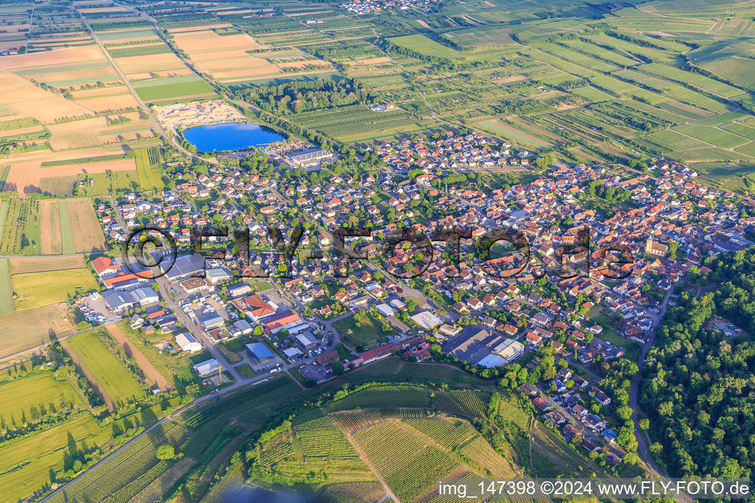 Vue aérienne de Vue de la ville depuis l'ouest à Sasbach am Kaiserstuhl dans le département Bade-Wurtemberg, Allemagne