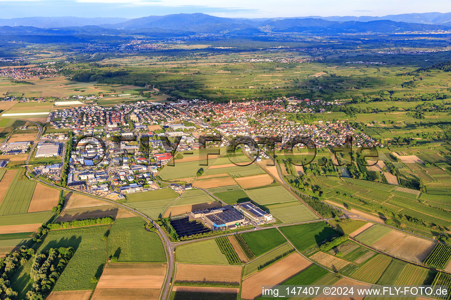 Vue aérienne de Vue de la ville depuis l'ouest à Endingen am Kaiserstuhl dans le département Bade-Wurtemberg, Allemagne
