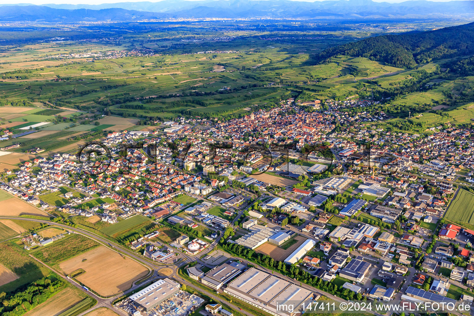 Vue aérienne de Vue de la ville depuis le nord-ouest à Endingen am Kaiserstuhl dans le département Bade-Wurtemberg, Allemagne