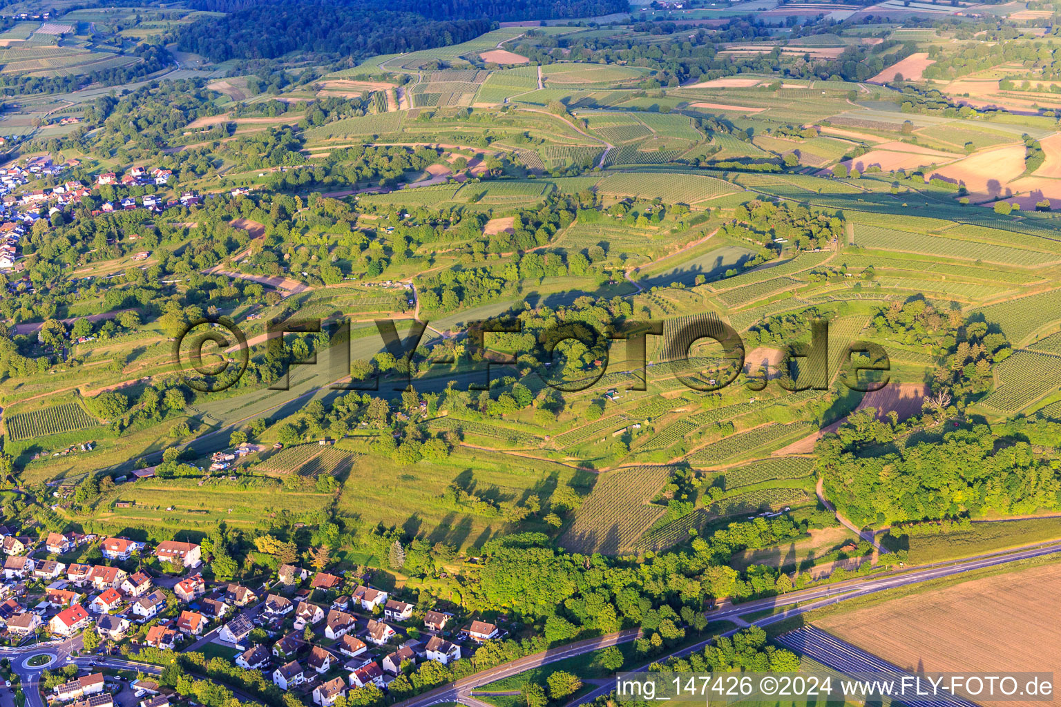 Vue aérienne de Paysage viticole dans la lumière du soir à Malterdingen dans le département Bade-Wurtemberg, Allemagne