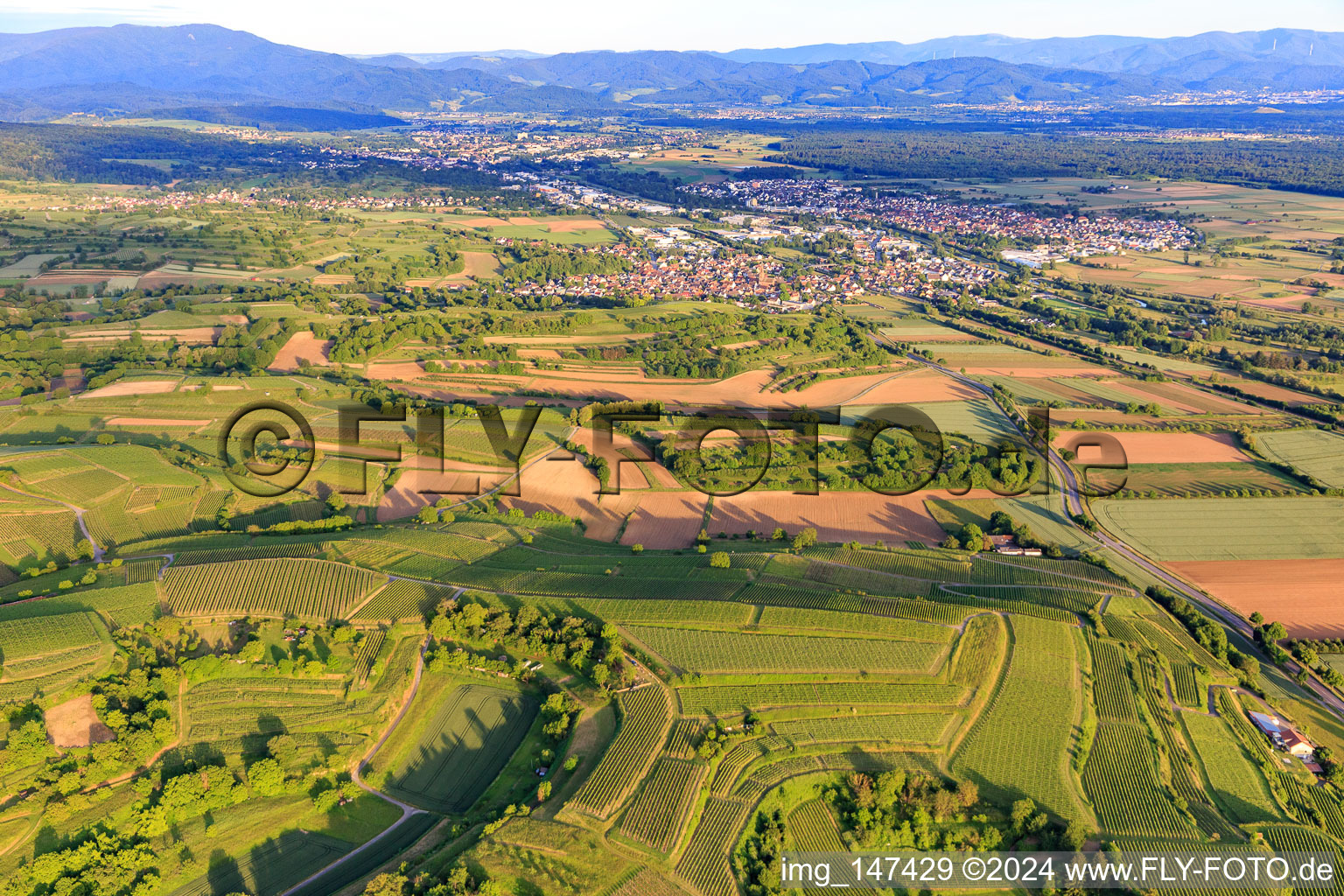 Vue aérienne de Vue de la vallée de l'Elz depuis le nord-ouest à le quartier Köndringen in Teningen dans le département Bade-Wurtemberg, Allemagne