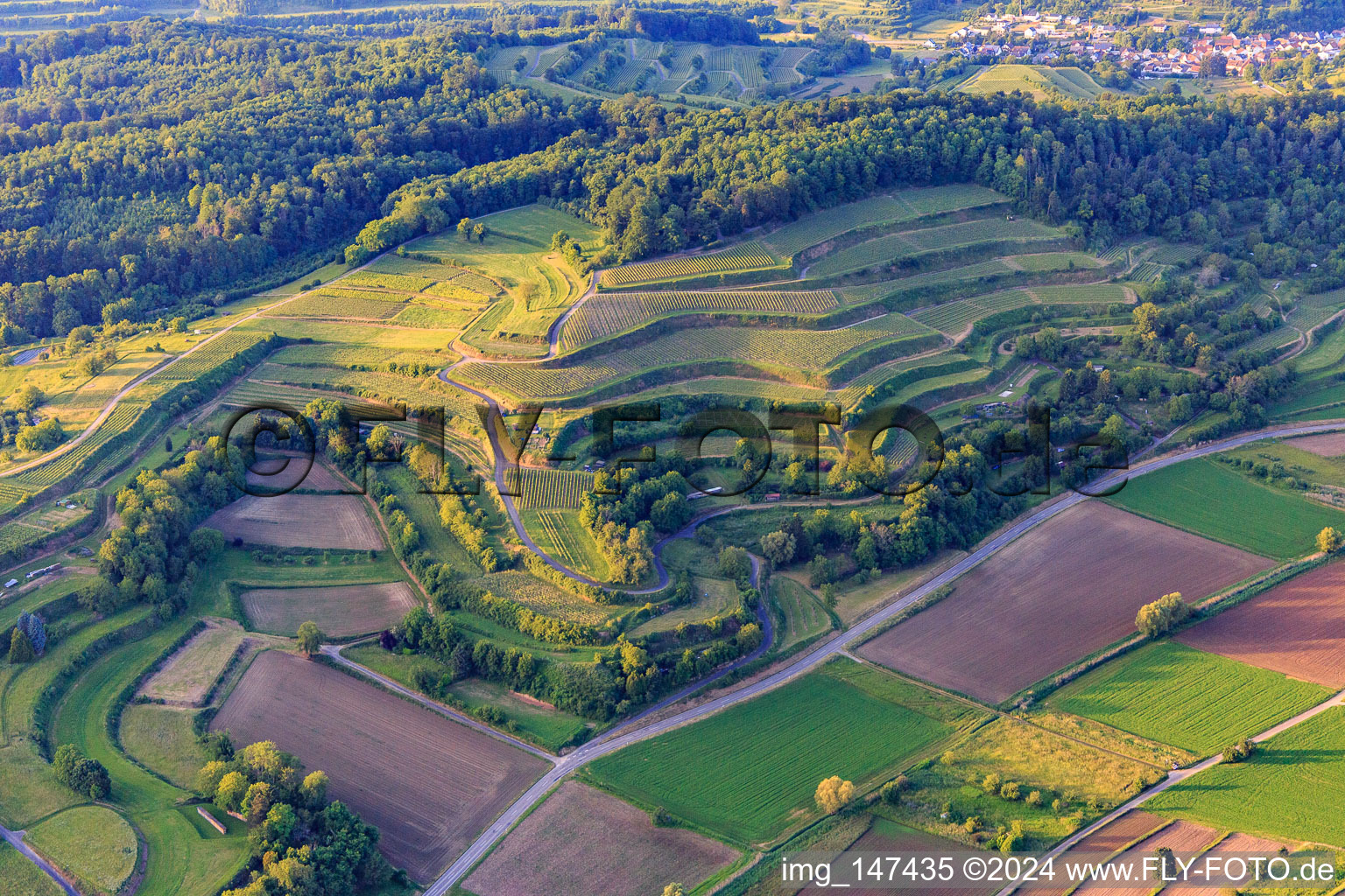 Vue aérienne de Vignobles en terrasses à Malterdingen dans le département Bade-Wurtemberg, Allemagne