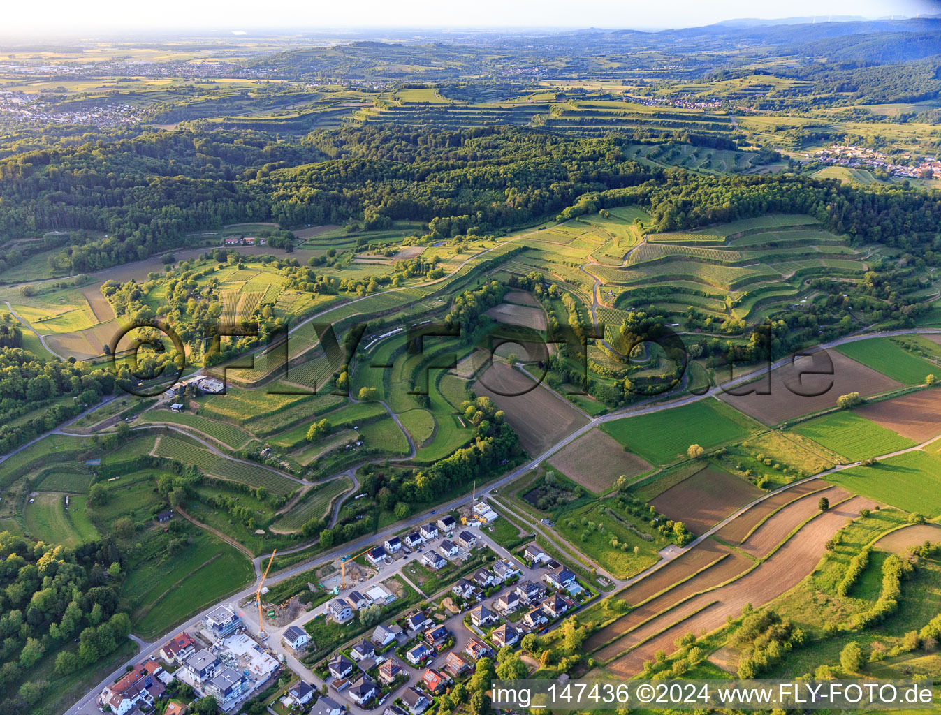Vue aérienne de Vignobles en terrasses à Malterdingen dans le département Bade-Wurtemberg, Allemagne