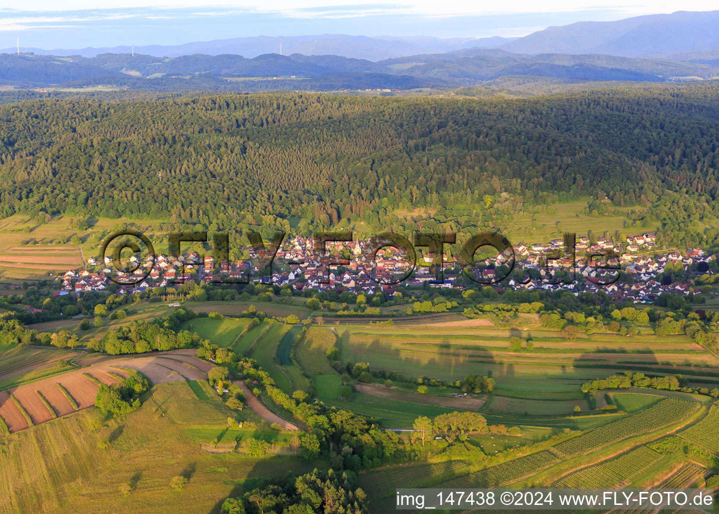 Vue aérienne de Vue de la ville viticole depuis l'ouest à le quartier Heimbach in Teningen dans le département Bade-Wurtemberg, Allemagne