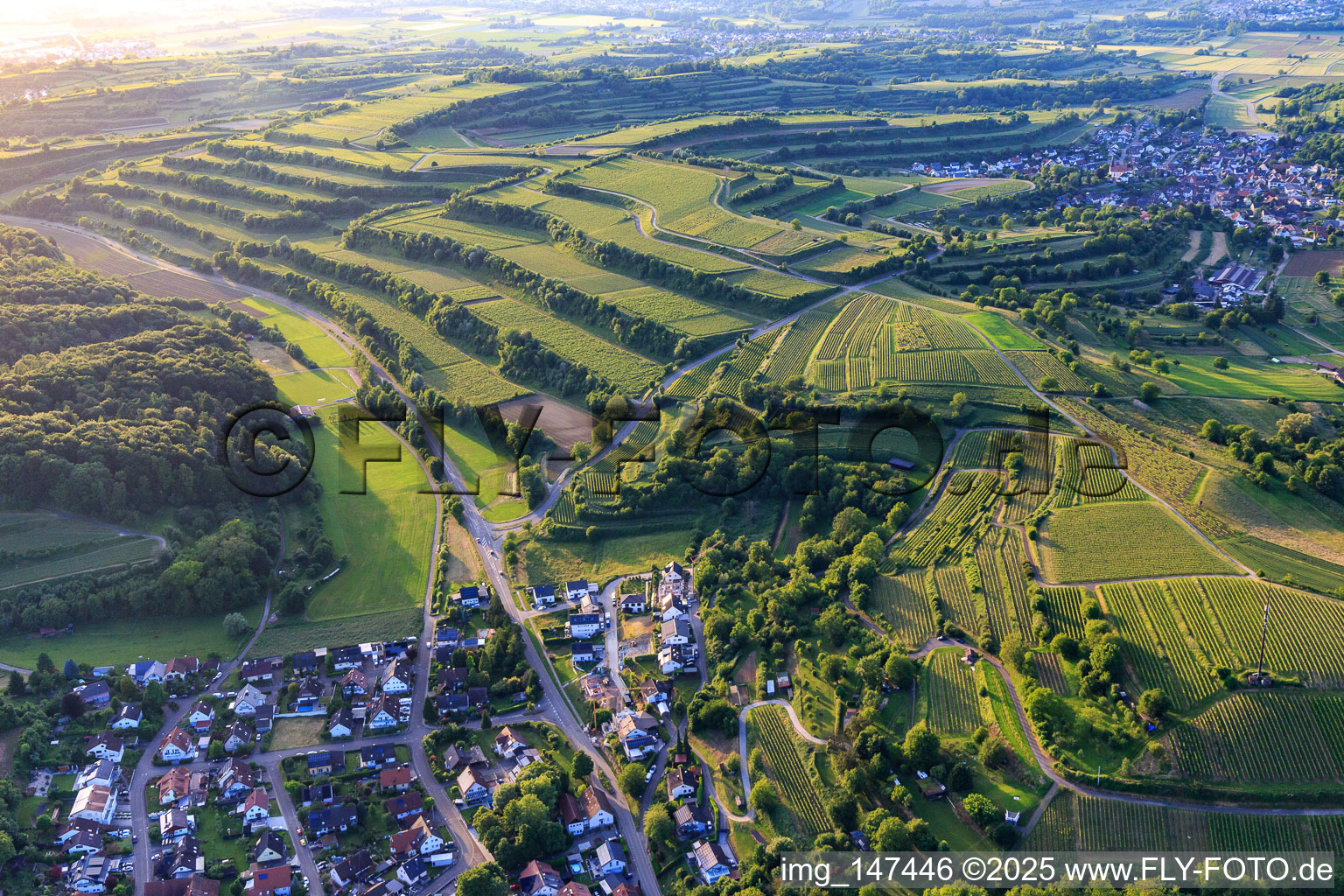 Vue aérienne de Vignobles en terrasses à le quartier Bombach in Kenzingen dans le département Bade-Wurtemberg, Allemagne