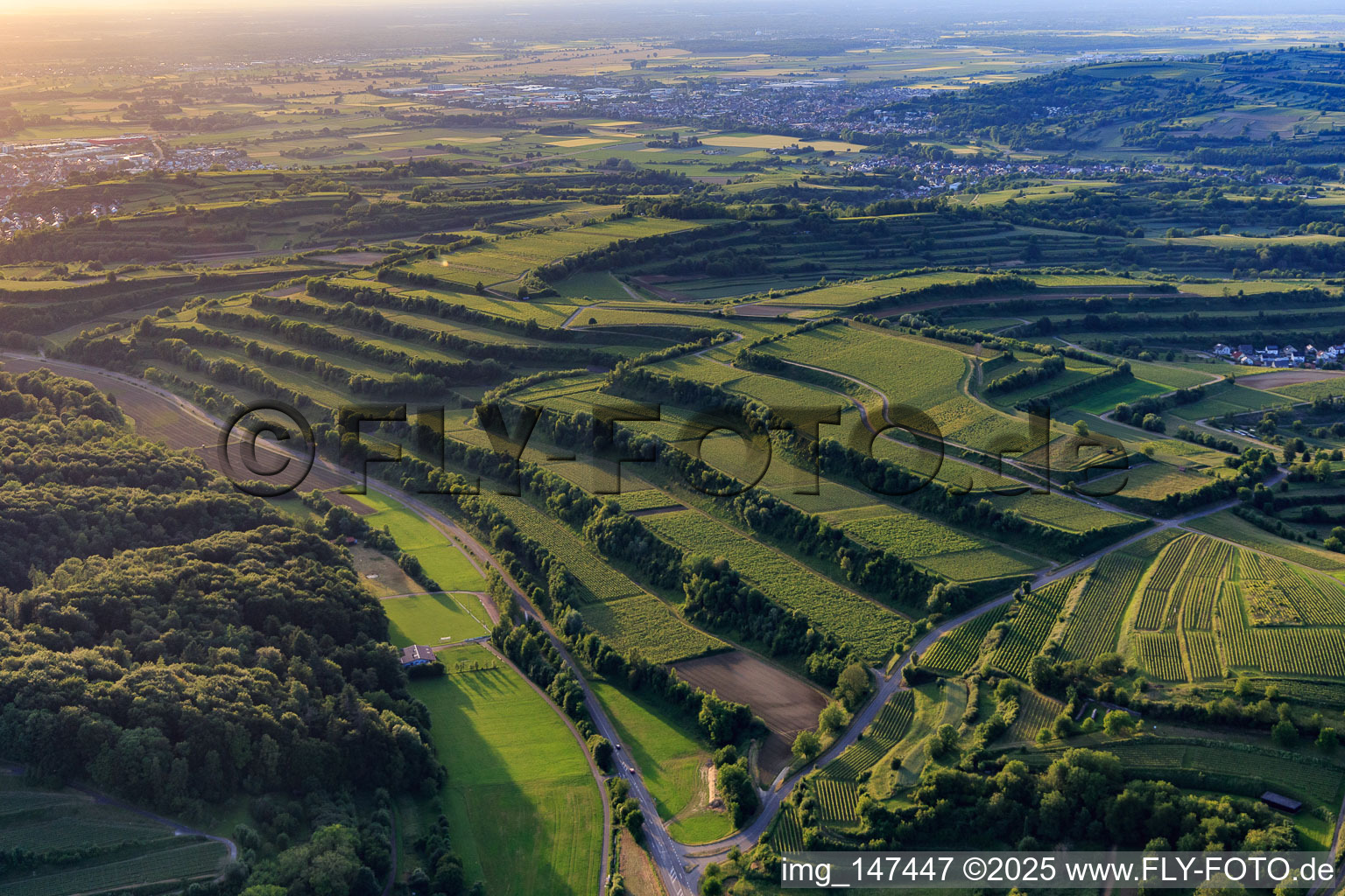 Vue aérienne de Vignobles en terrasses à le quartier Bombach in Kenzingen dans le département Bade-Wurtemberg, Allemagne