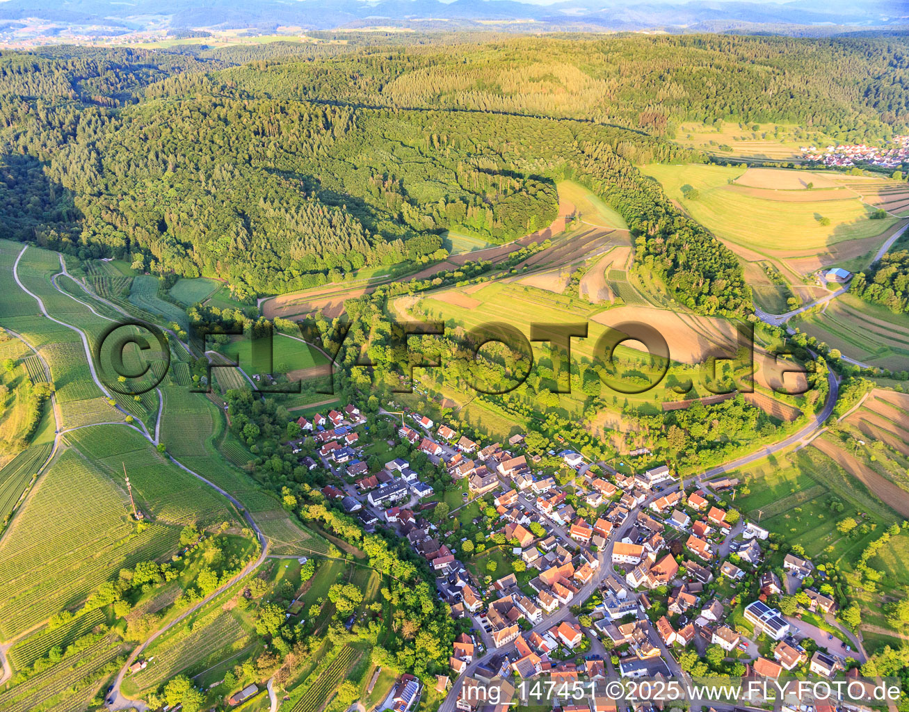 Vue aérienne de Nonnengraben à le quartier Bombach in Kenzingen dans le département Bade-Wurtemberg, Allemagne