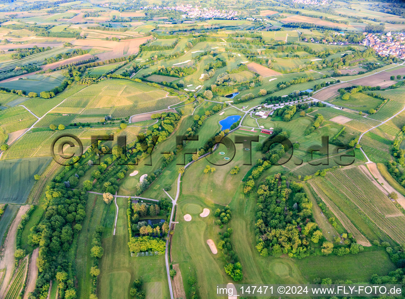 Photographie aérienne de Europa-Park Golf Club Breisgau à le quartier Tutschfelden in Herbolzheim dans le département Bade-Wurtemberg, Allemagne