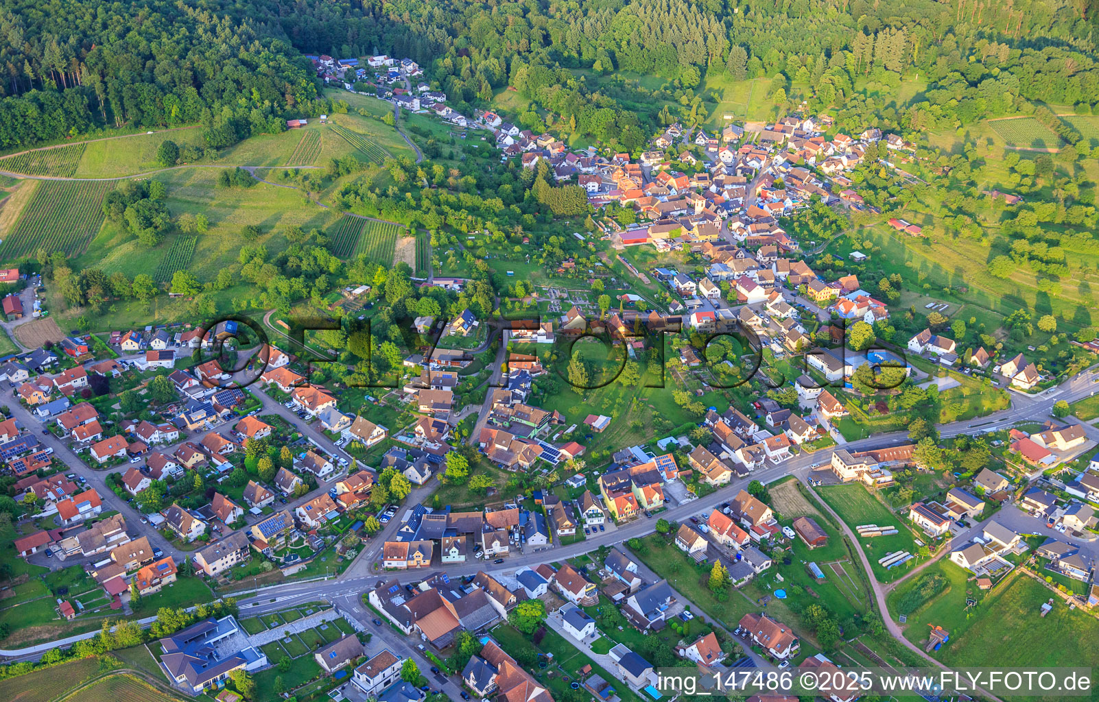 Vue aérienne de Vue du village depuis le sud-ouest à le quartier Wallburg in Ettenheim dans le département Bade-Wurtemberg, Allemagne