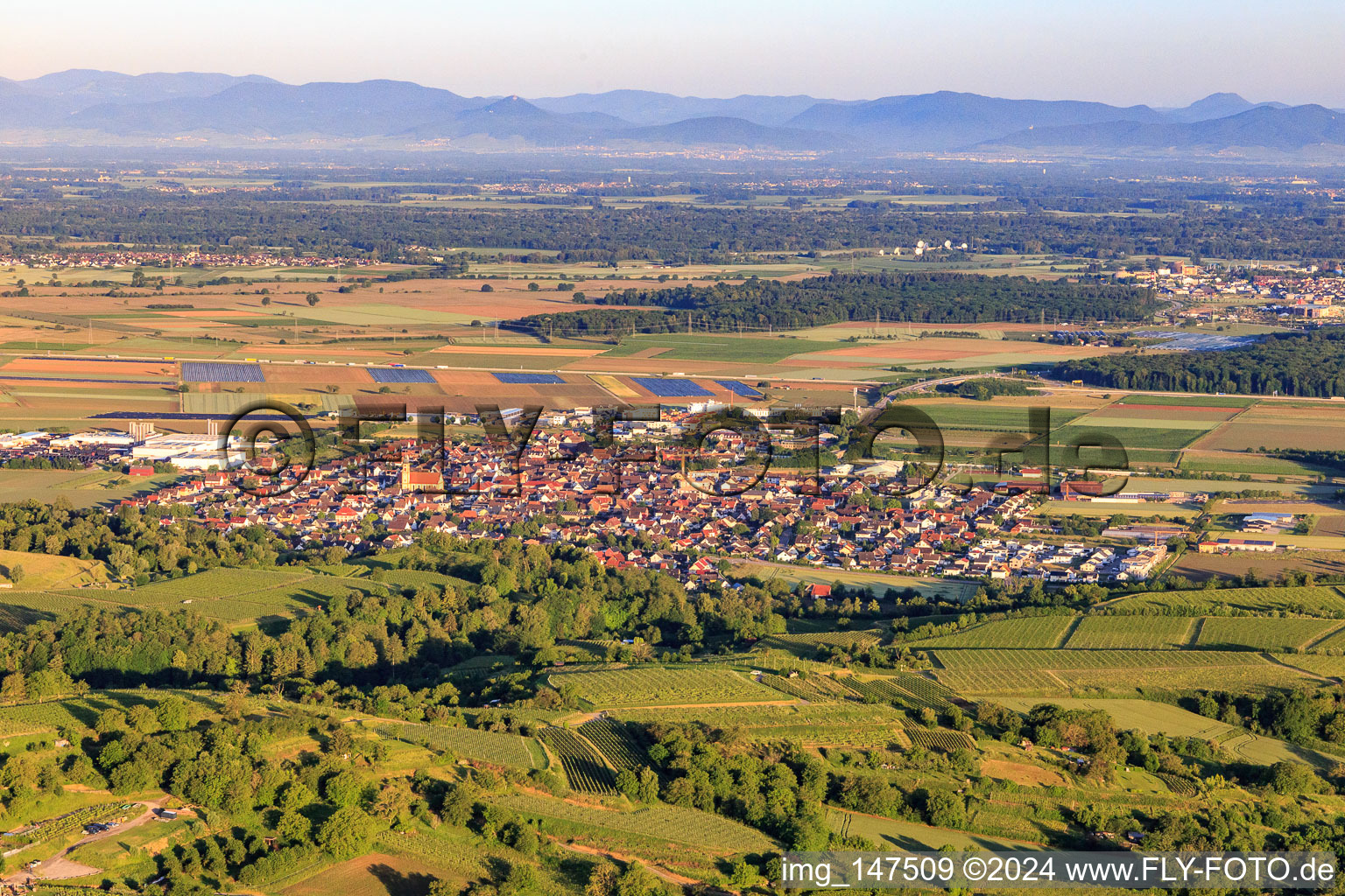 Vue aérienne de Vue de la ville depuis le nord-est à Ringsheim dans le département Bade-Wurtemberg, Allemagne