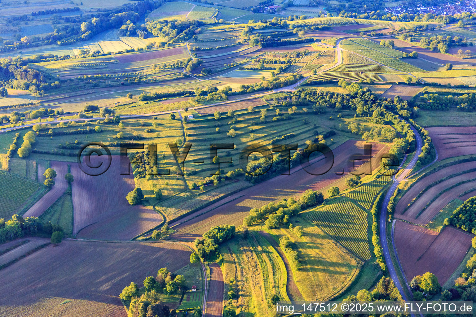 Vue aérienne de Vignes, champs et prairies à le quartier Ettenheimweiler in Ettenheim dans le département Bade-Wurtemberg, Allemagne