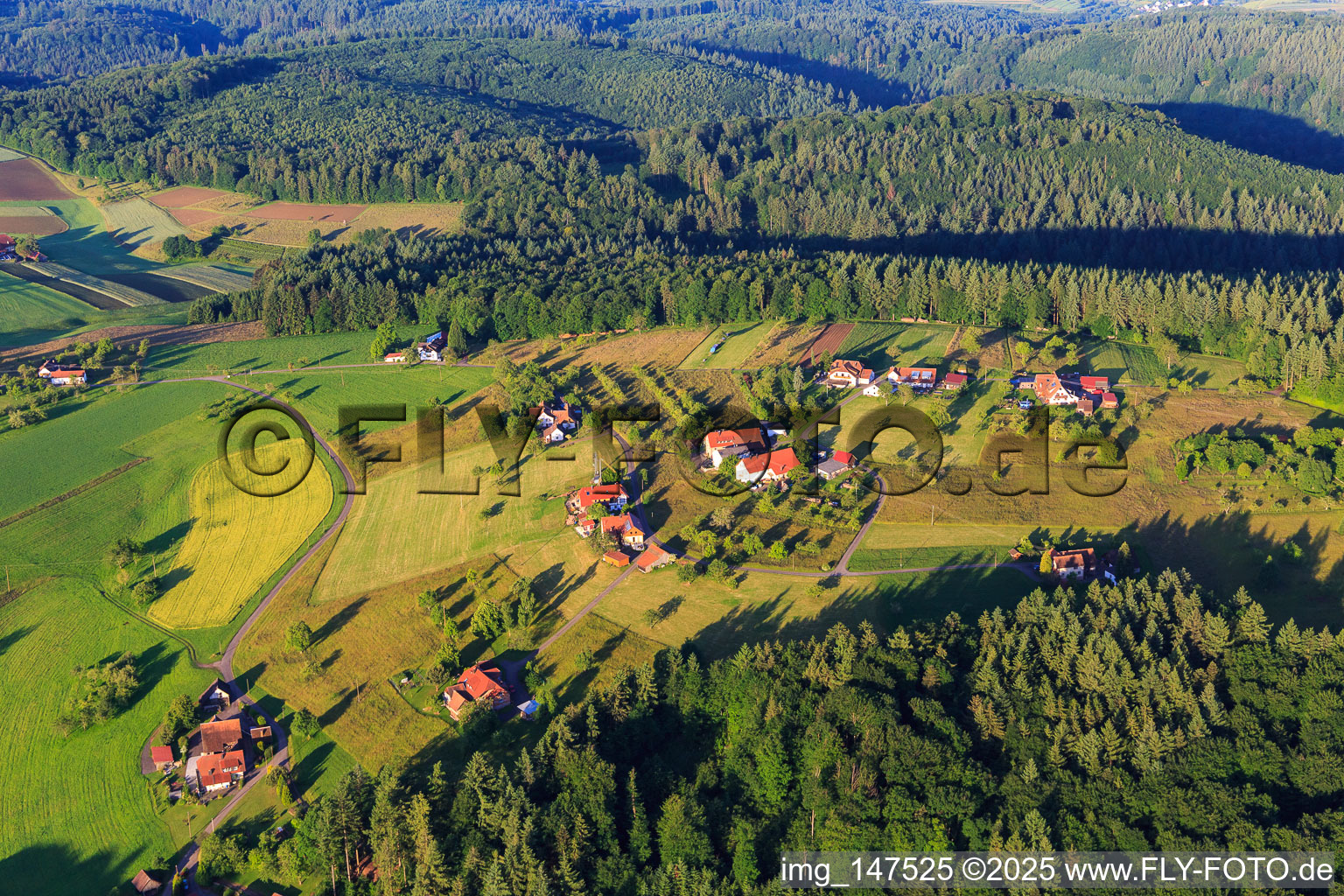 Vue aérienne de Arrondissement de Hohreute à le quartier Ottoschwanden in Freiamt dans le département Bade-Wurtemberg, Allemagne
