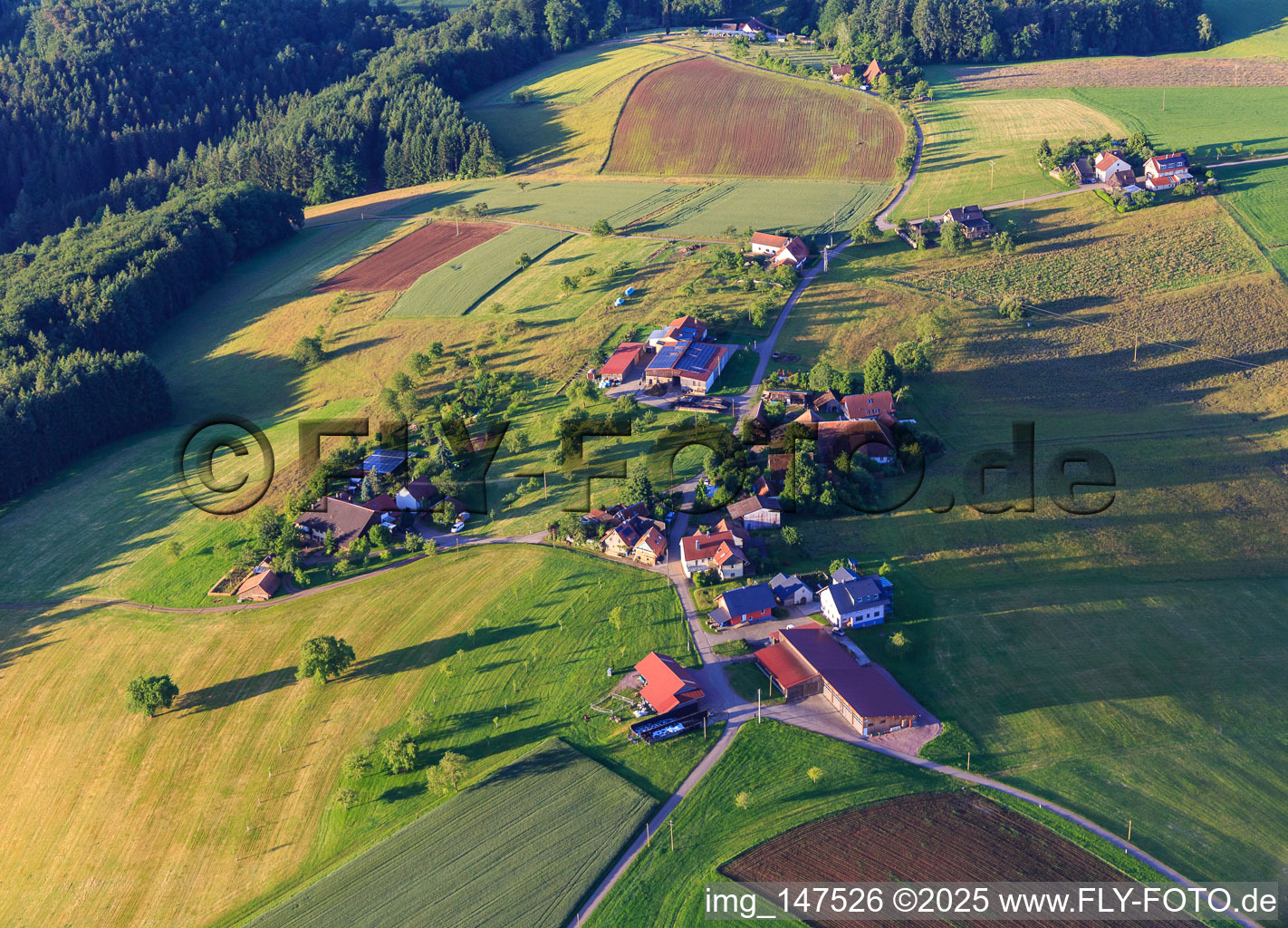 Vue aérienne de Quartier d'Unterberg à le quartier Ottoschwanden in Freiamt dans le département Bade-Wurtemberg, Allemagne