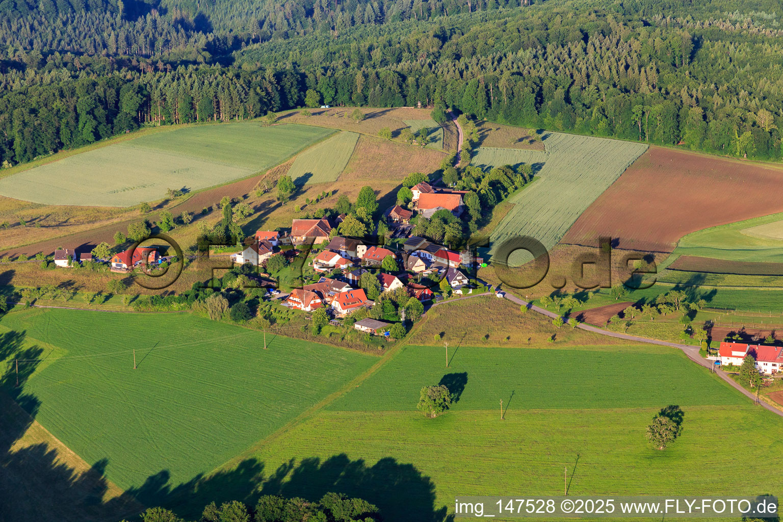 Vue aérienne de Quartier d'Oberberg à le quartier Ottoschwanden in Freiamt dans le département Bade-Wurtemberg, Allemagne
