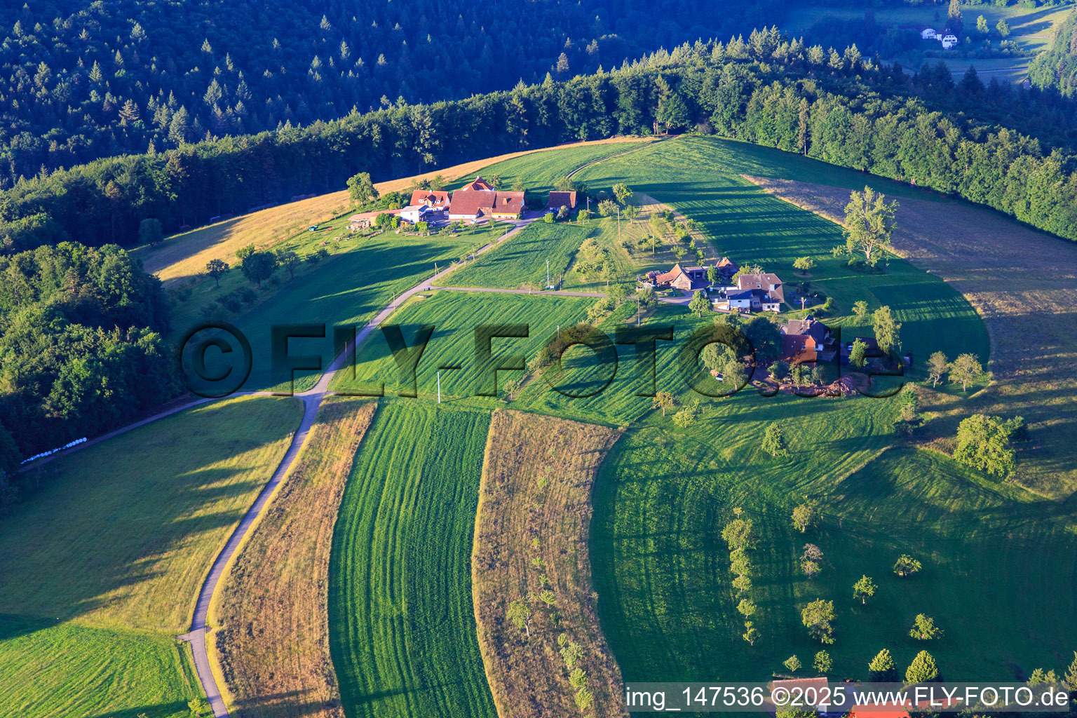 Vue aérienne de Appartement de vacances à Brennhaus à le quartier Reichenbach in Freiamt dans le département Bade-Wurtemberg, Allemagne