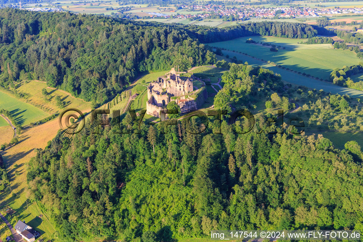 Vue aérienne de Ruines de la forteresse de Hochburg près de Emmendingen depuis le nord à le quartier Windenreute in Emmendingen dans le département Bade-Wurtemberg, Allemagne