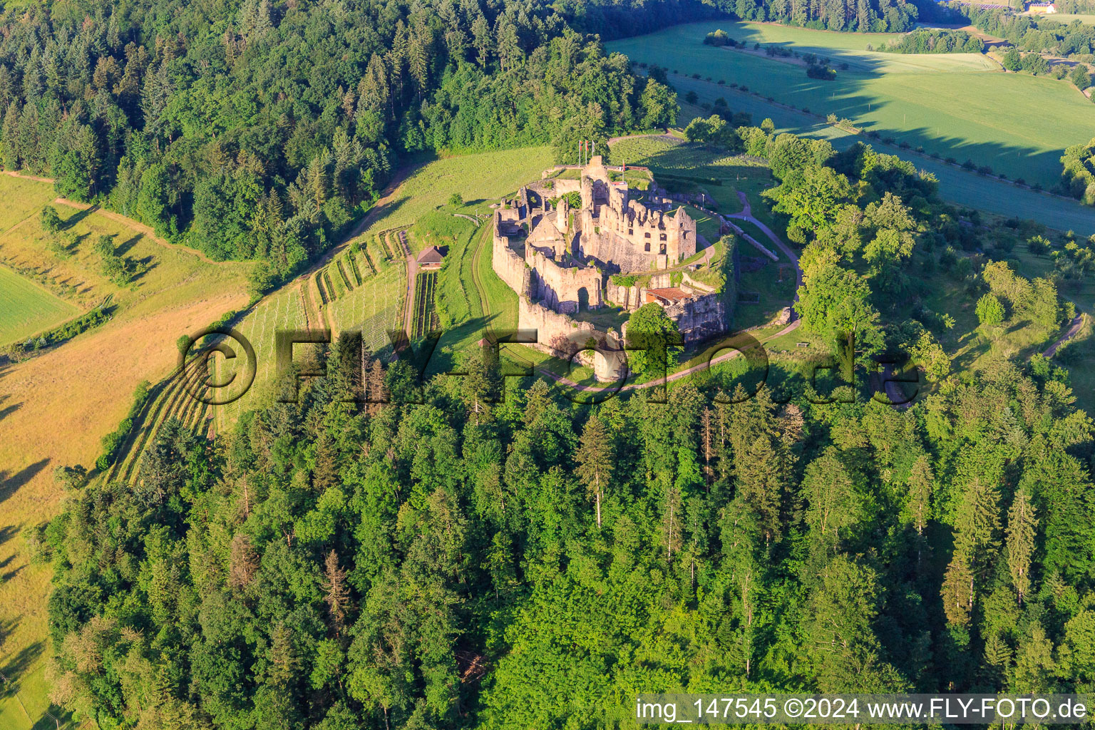 Photographie aérienne de Ruines de la forteresse de Hochburg près de Emmendingen depuis le nord à le quartier Windenreute in Emmendingen dans le département Bade-Wurtemberg, Allemagne