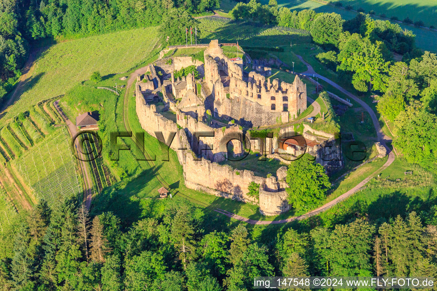 Vue oblique de Ruines de la forteresse de Hochburg près de Emmendingen depuis le nord à le quartier Windenreute in Emmendingen dans le département Bade-Wurtemberg, Allemagne