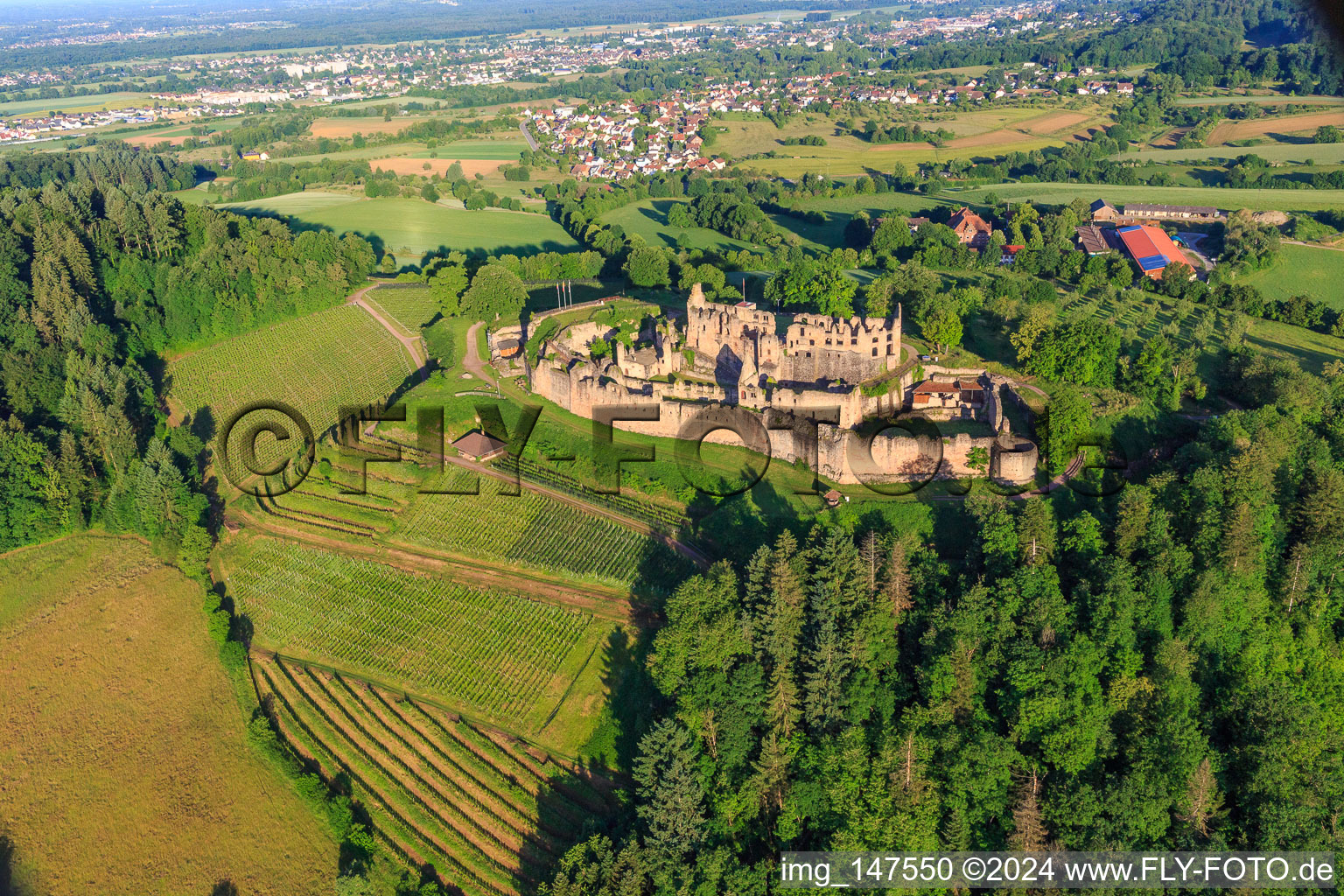 Vue aérienne de Ruines de la forteresse de Hochburg près de Emmendingen depuis l'est à le quartier Windenreute in Emmendingen dans le département Bade-Wurtemberg, Allemagne