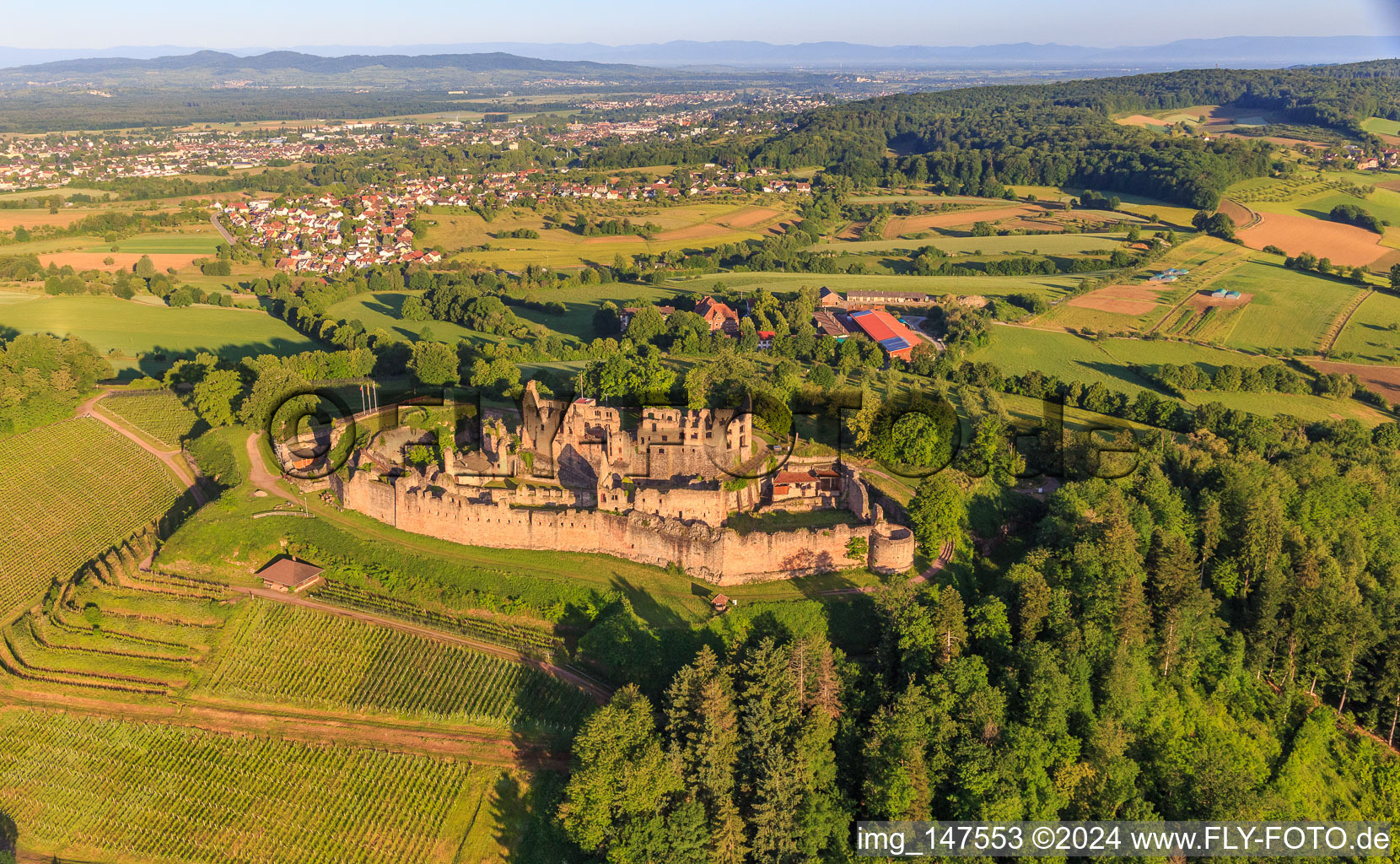Vue aérienne de Ruines de la forteresse de Hochburg près de Emmendingen depuis l'est à le quartier Windenreute in Emmendingen dans le département Bade-Wurtemberg, Allemagne