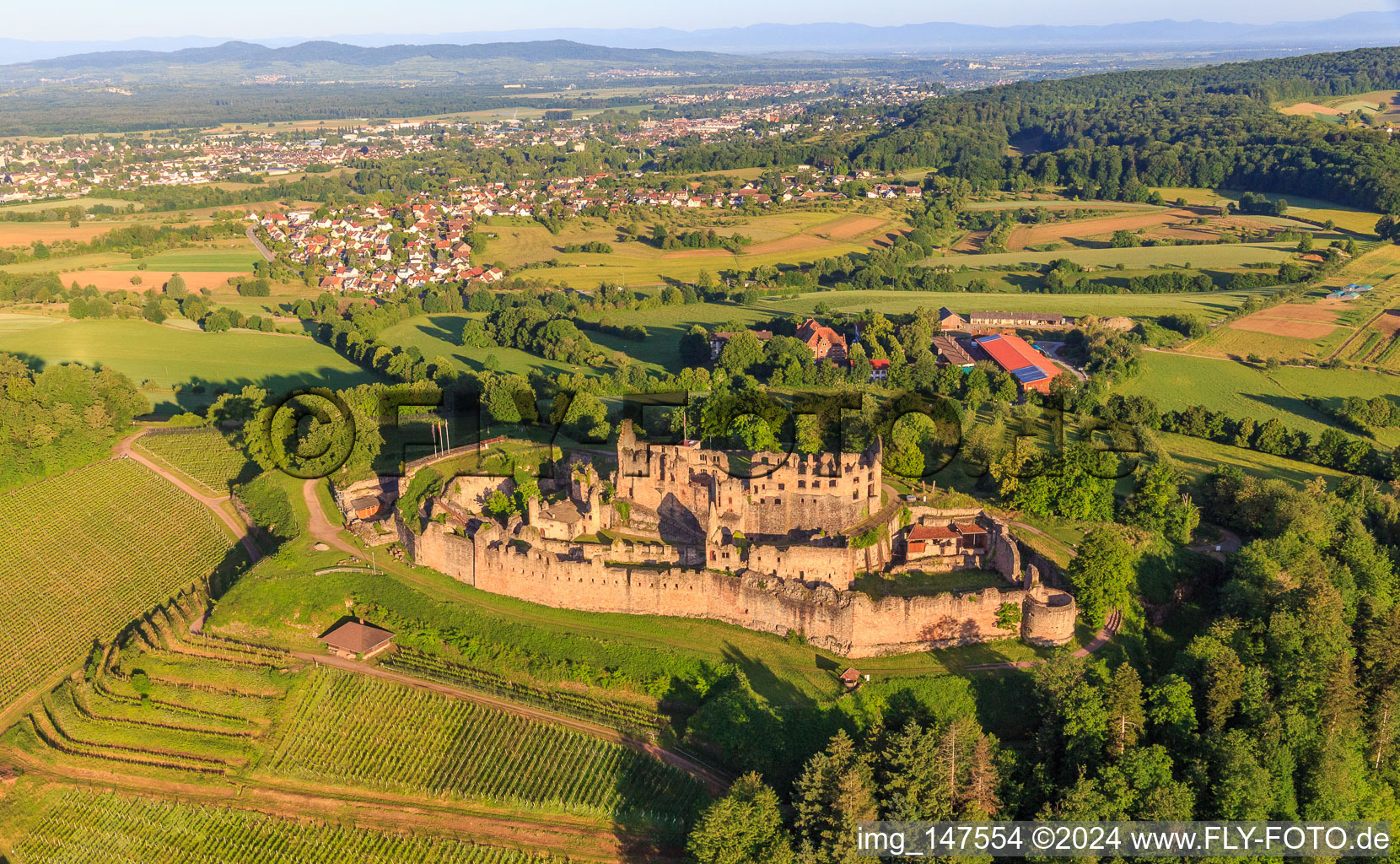 Photographie aérienne de Ruines de la forteresse de Hochburg près de Emmendingen depuis l'est à le quartier Windenreute in Emmendingen dans le département Bade-Wurtemberg, Allemagne