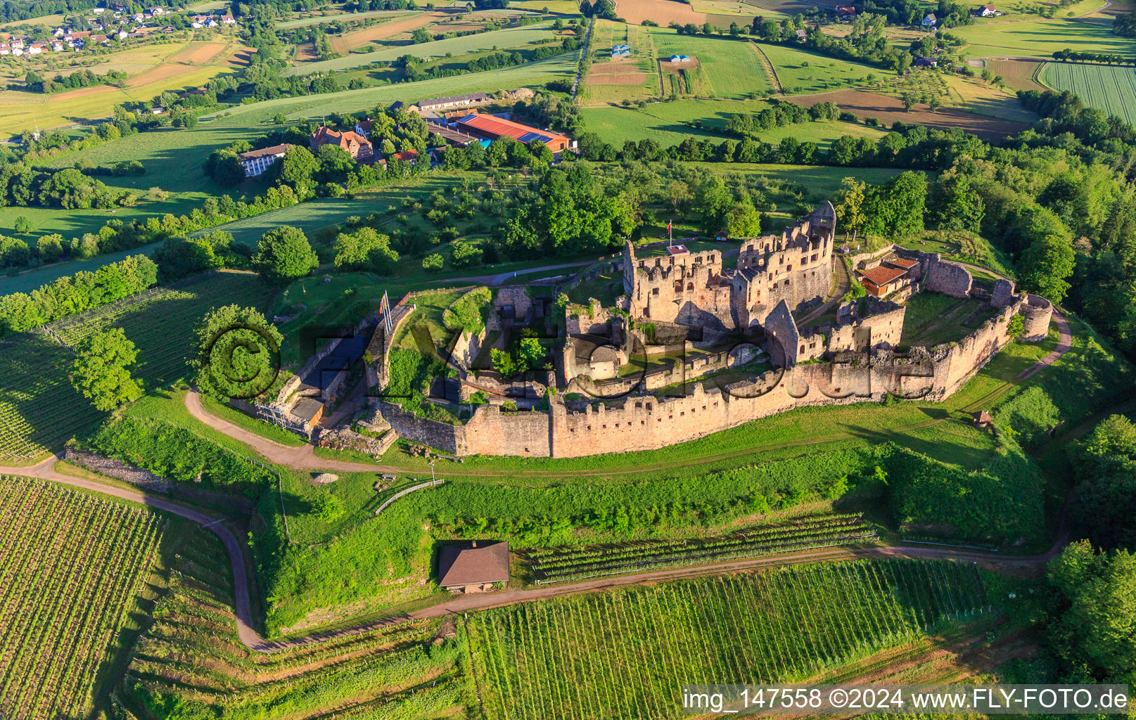 Vue oblique de Ruines de la forteresse de Hochburg près de Emmendingen depuis l'est à le quartier Windenreute in Emmendingen dans le département Bade-Wurtemberg, Allemagne