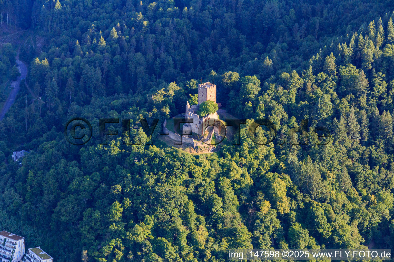 Vue aérienne de Ruines de Kastelburg à Waldkirch dans le département Bade-Wurtemberg, Allemagne