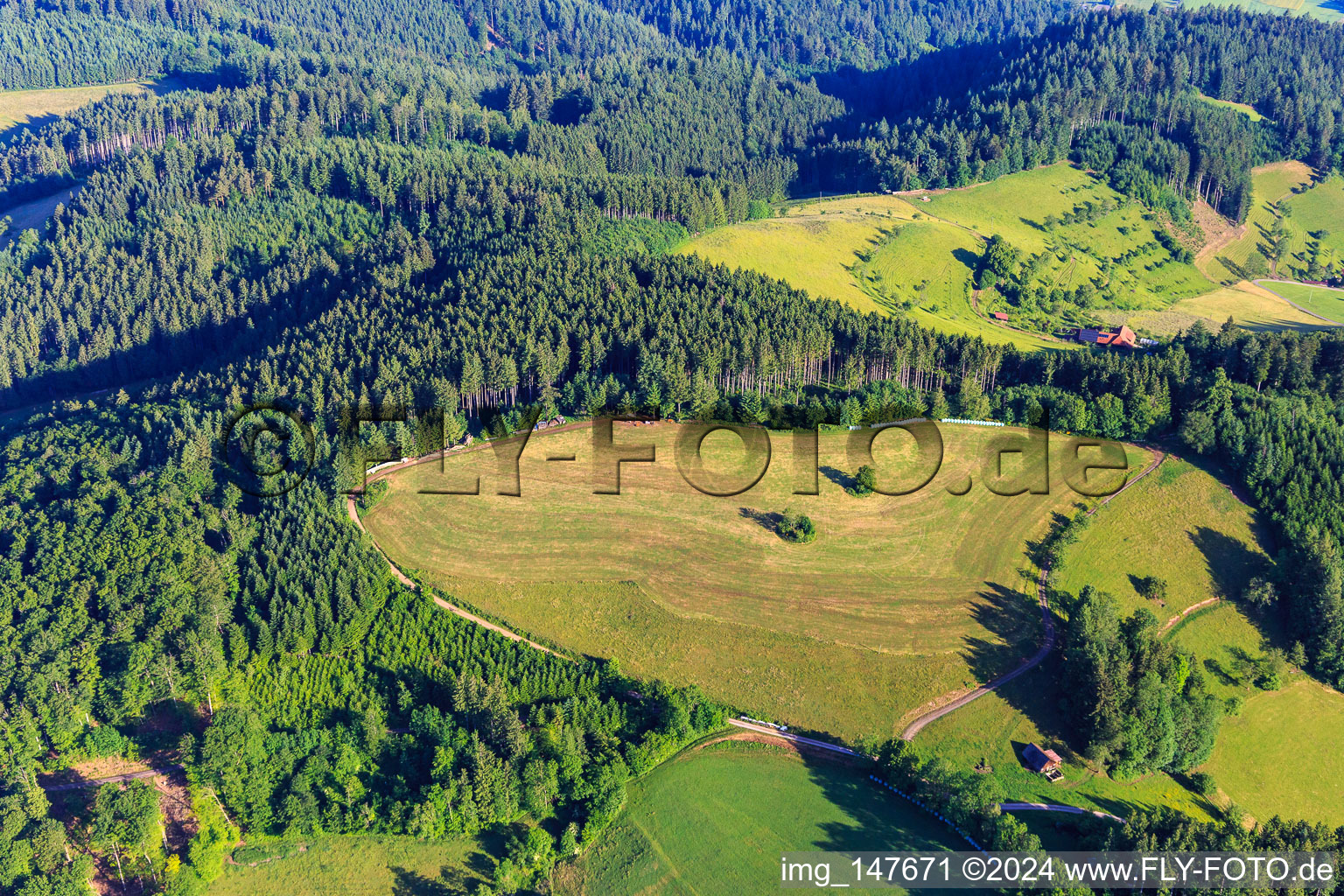 Vue aérienne de Prairie fauchée dans le nord de la Forêt-Noire à Mühlenbach dans le département Bade-Wurtemberg, Allemagne