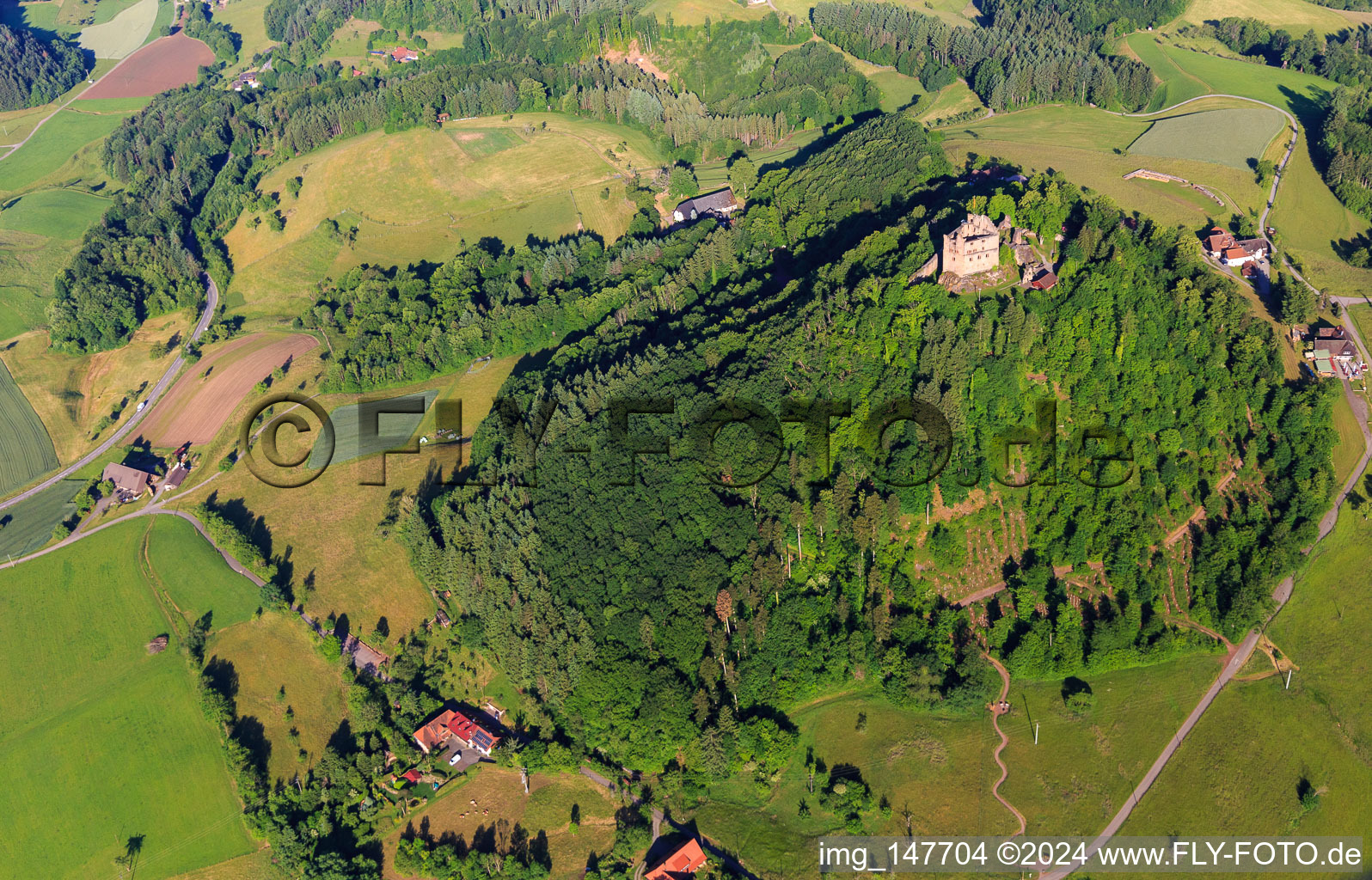 Vue oblique de Ruines du château de Hohengeroldseck sur le Schloßberg depuis le sud à Seelbach dans le département Bade-Wurtemberg, Allemagne