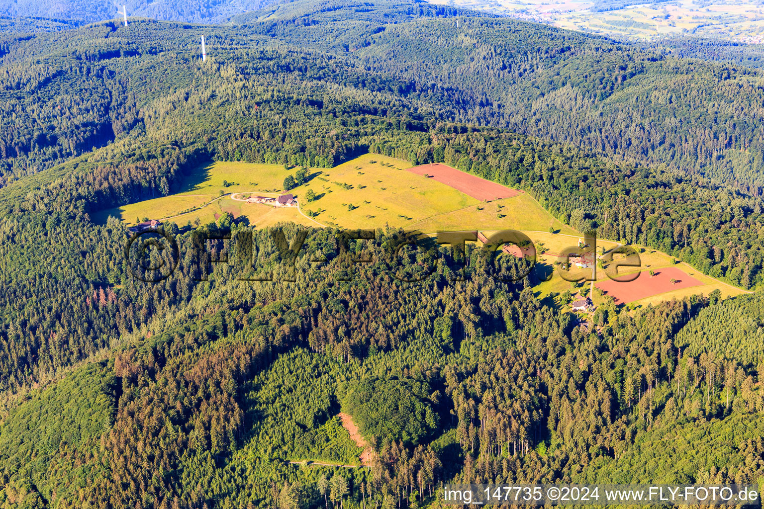 Vue aérienne de Hasenberg à Seelbach dans le département Bade-Wurtemberg, Allemagne
