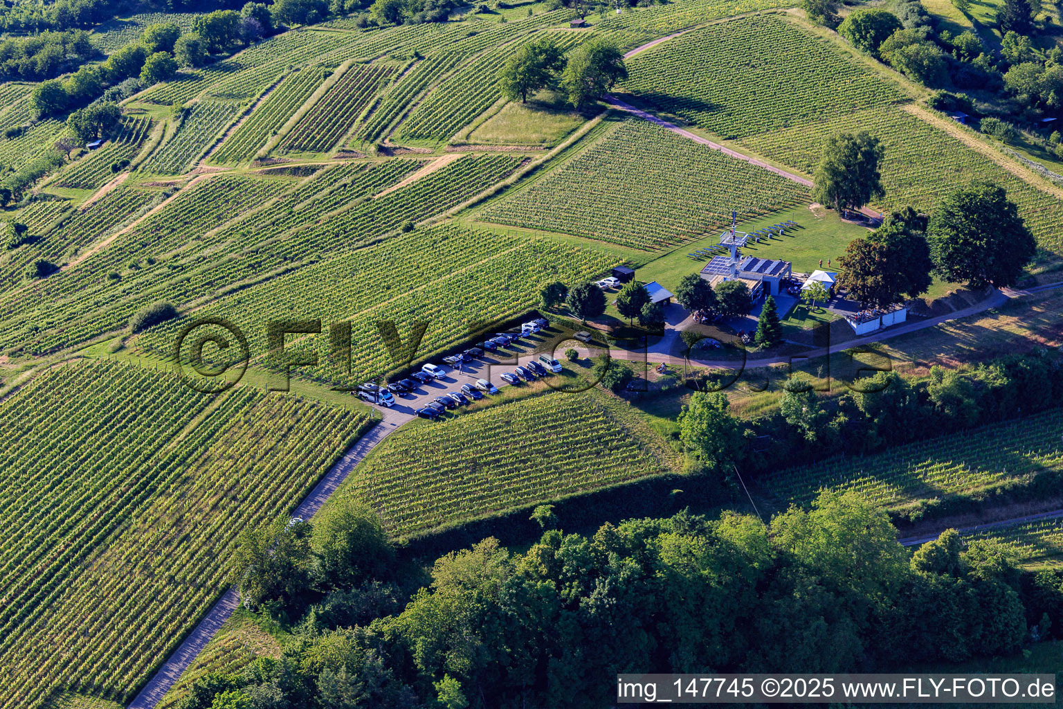 Vue aérienne de Restaurant panoramique Heubergturm / vers le Heuberg sur le vignoble à Ettenheim dans le département Bade-Wurtemberg, Allemagne