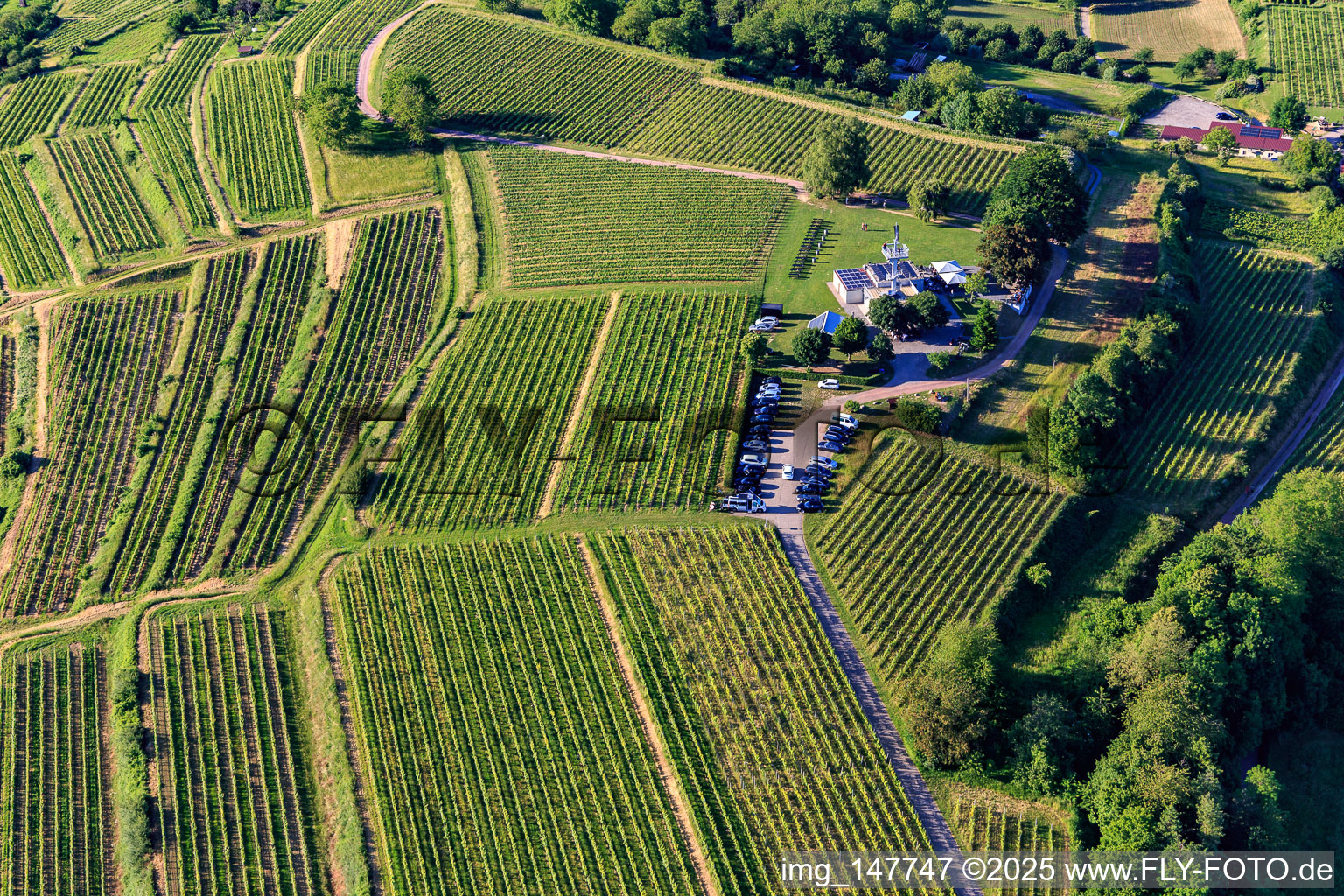 Vue aérienne de Restaurant panoramique Heubergturm / vers le Heuberg sur le vignoble à Ettenheim dans le département Bade-Wurtemberg, Allemagne