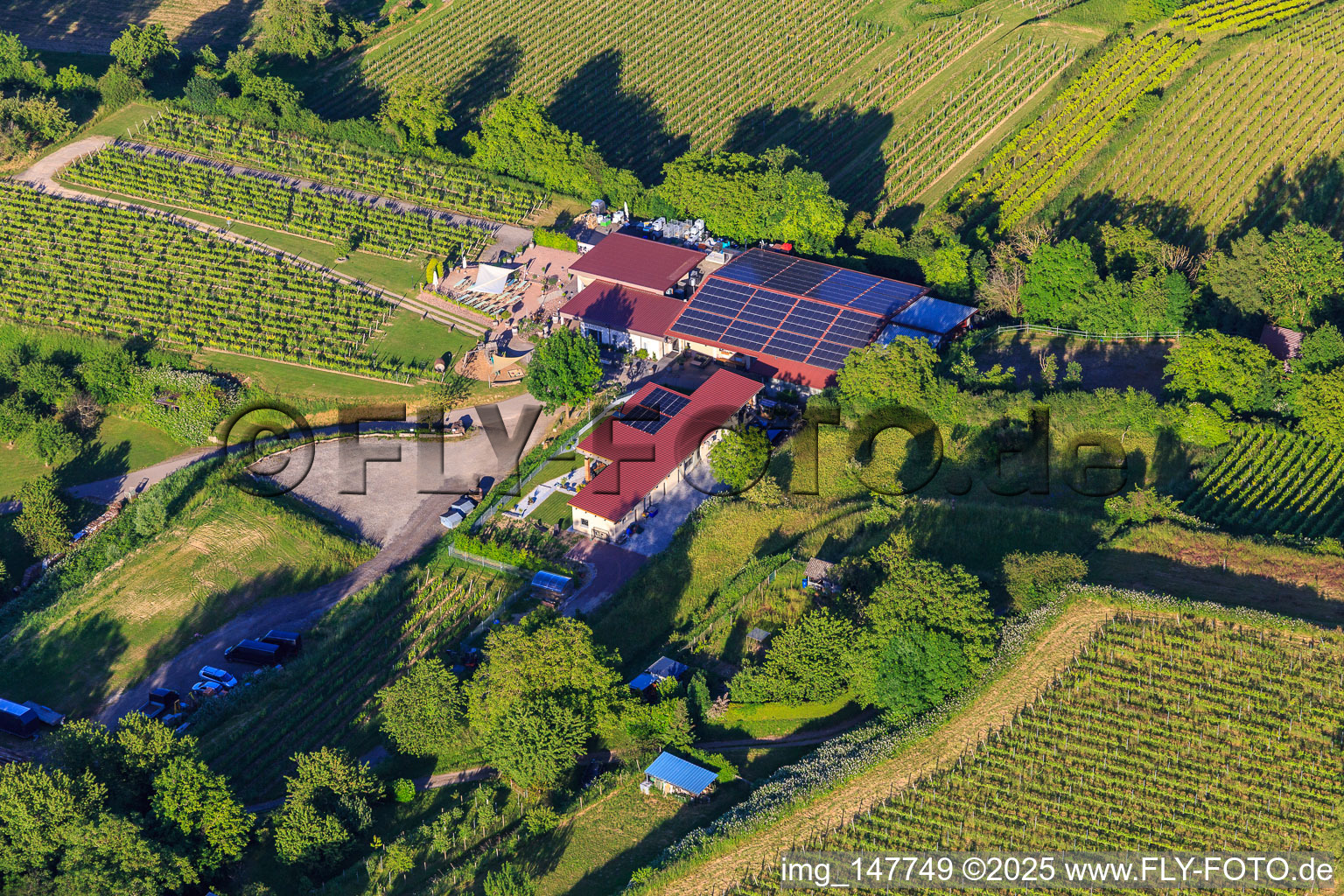 Vue aérienne de Domaine viticole A. Bieselin à Ettenheim dans le département Bade-Wurtemberg, Allemagne