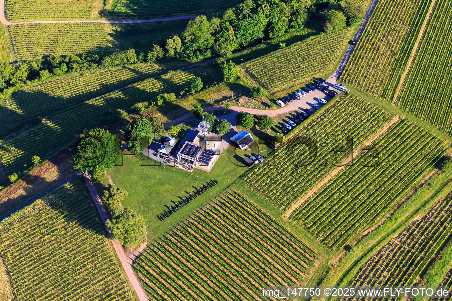 Photographie aérienne de Restaurant panoramique Heubergturm / vers le Heuberg sur le vignoble à Ettenheim dans le département Bade-Wurtemberg, Allemagne