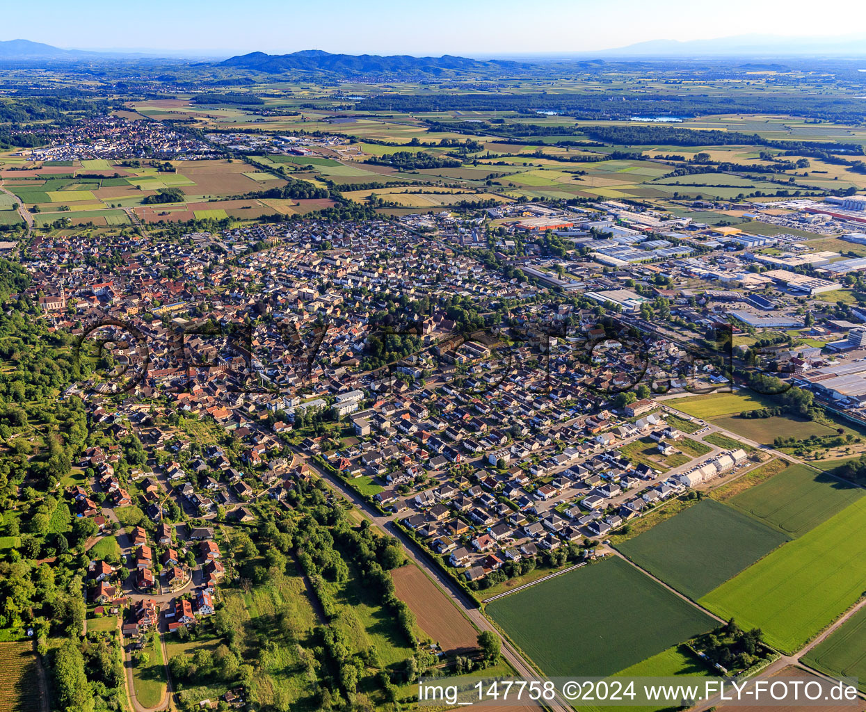 Vue aérienne de Vue de la ville depuis le nord à Herbolzheim dans le département Bade-Wurtemberg, Allemagne