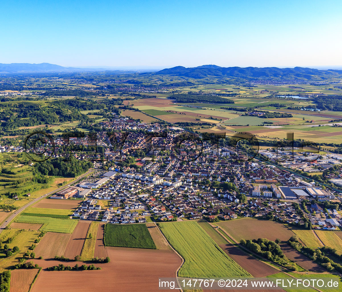 Vue aérienne de Vue de la ville depuis le nord à le quartier Wonnental in Kenzingen dans le département Bade-Wurtemberg, Allemagne