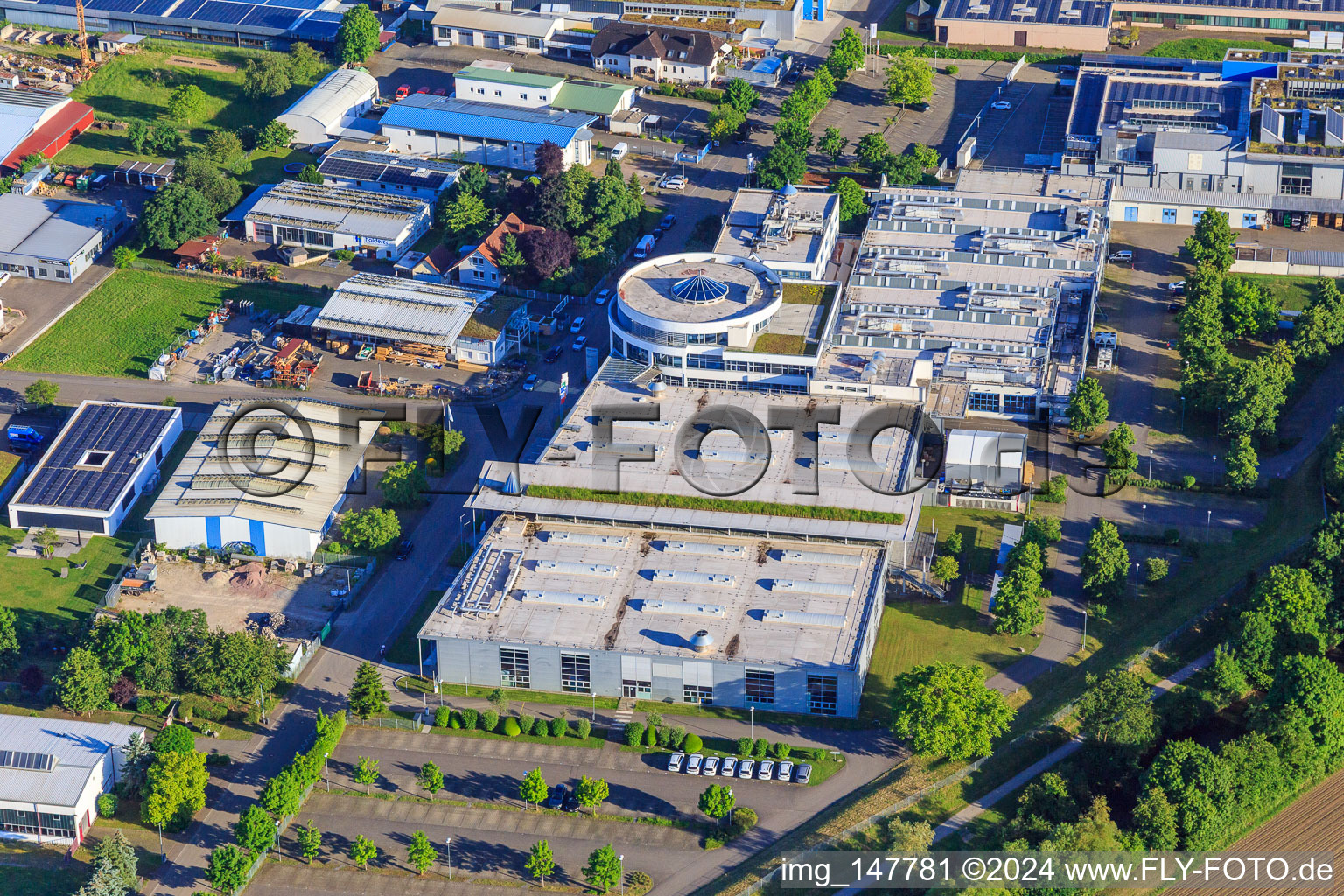 Vue aérienne de Zone industrielle sur l'ancien Dreisam avec Otto Männer GmbH et Maier Küchen GmbH à Bahlingen am Kaiserstuhl dans le département Bade-Wurtemberg, Allemagne