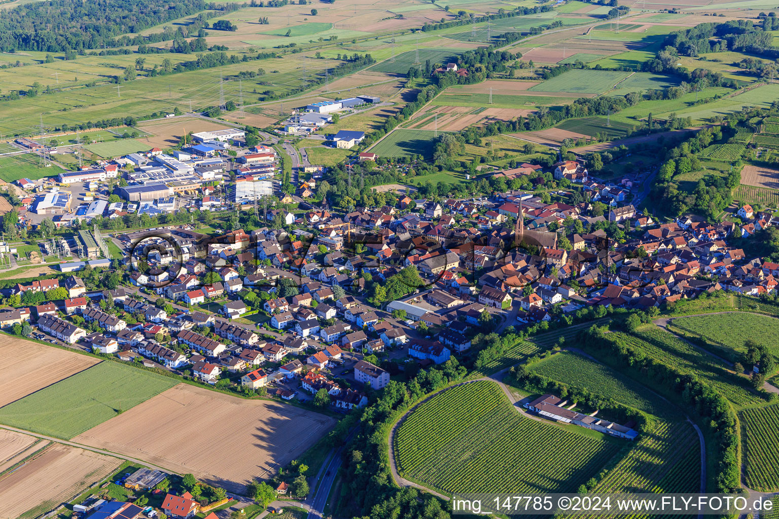 Vue aérienne de Vue du nord à Eichstetten am Kaiserstuhl dans le département Bade-Wurtemberg, Allemagne