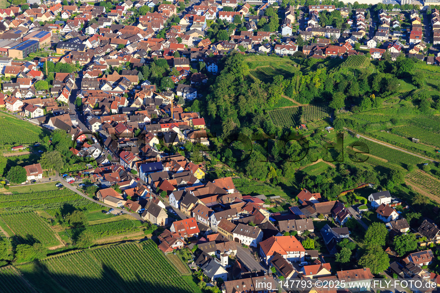 Vue aérienne de Bergstr à le quartier Oberschaffhausen in Bötzingen dans le département Bade-Wurtemberg, Allemagne