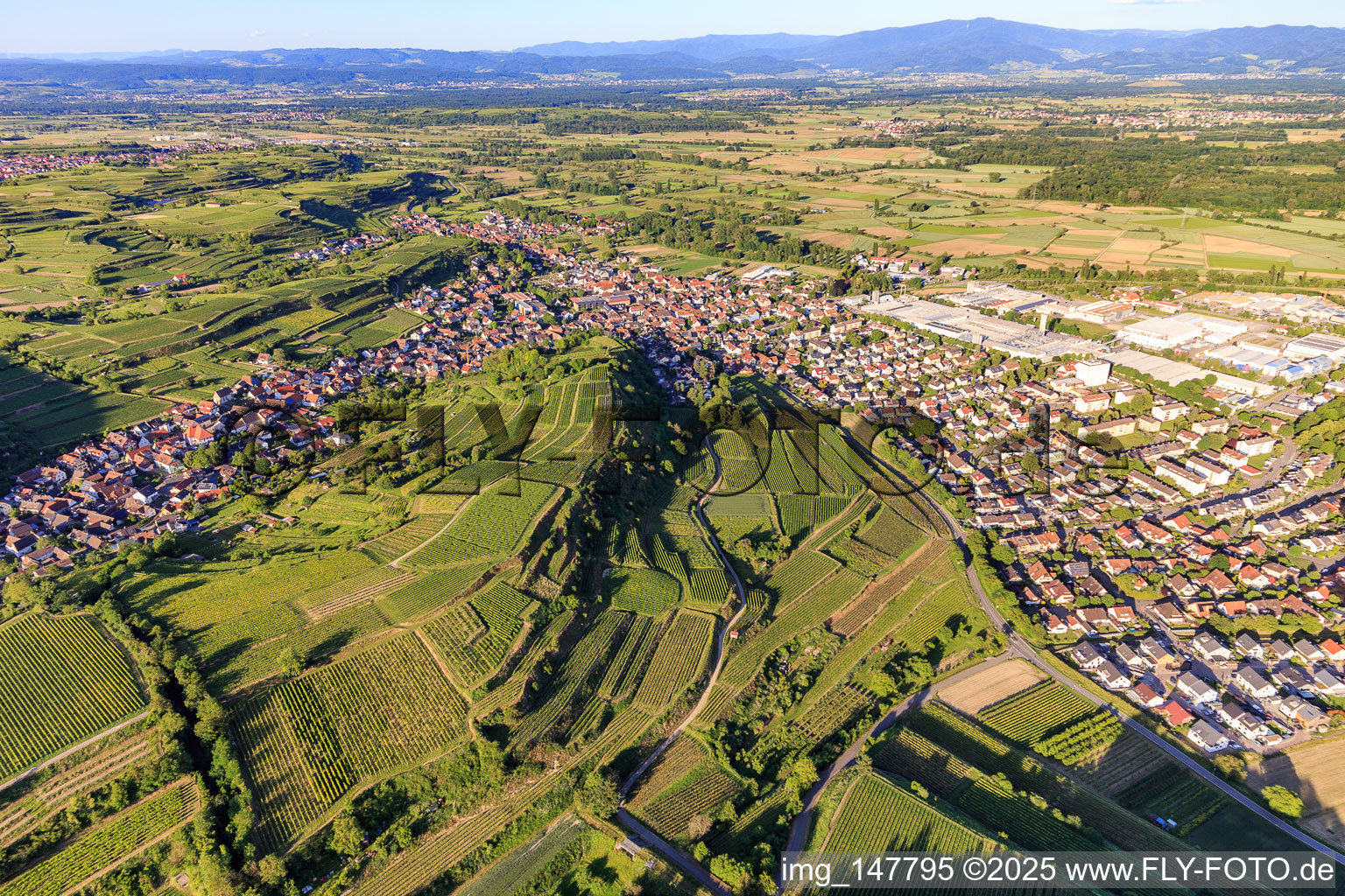 Vue aérienne de Vue d'ensemble de la ville depuis l'ouest à Bötzingen dans le département Bade-Wurtemberg, Allemagne
