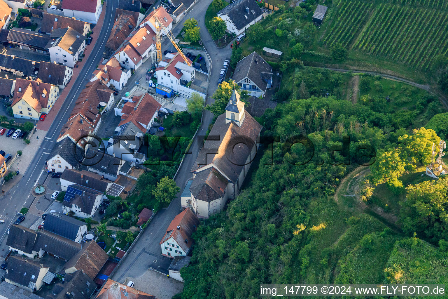 Vue aérienne de Église paroissiale de l'Assomption de Marie à le quartier Wasenweiler in Ihringen dans le département Bade-Wurtemberg, Allemagne