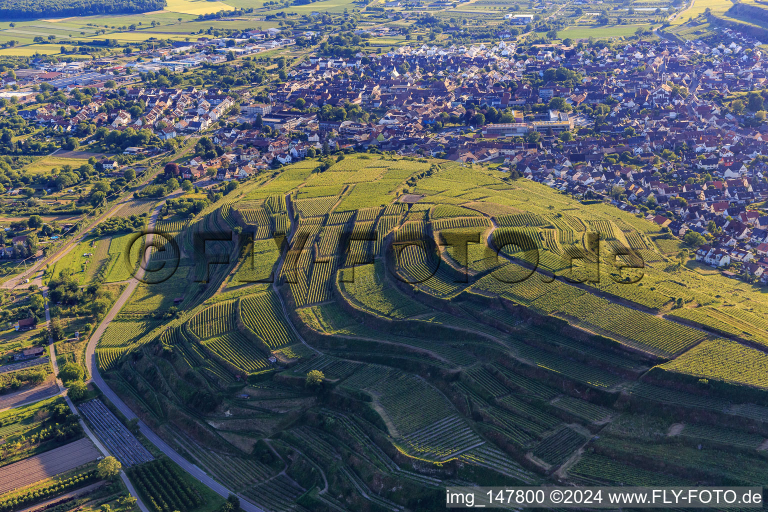 Vue aérienne de Vignobles en terrasses dans le sud du Kaiserstuhl à le quartier Wasenweiler in Ihringen dans le département Bade-Wurtemberg, Allemagne