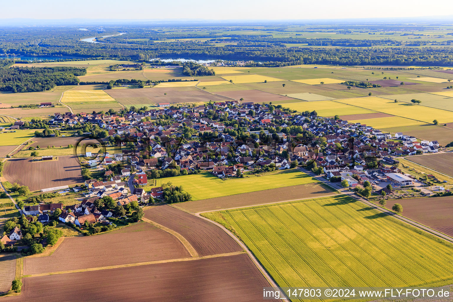 Vue aérienne de Vue du village depuis le nord à le quartier Gündlingen in Breisach am Rhein dans le département Bade-Wurtemberg, Allemagne