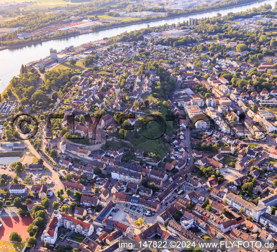 Vue aérienne de Cathédrale Saint-Étienne de Breisach à Breisach am Rhein dans le département Bade-Wurtemberg, Allemagne