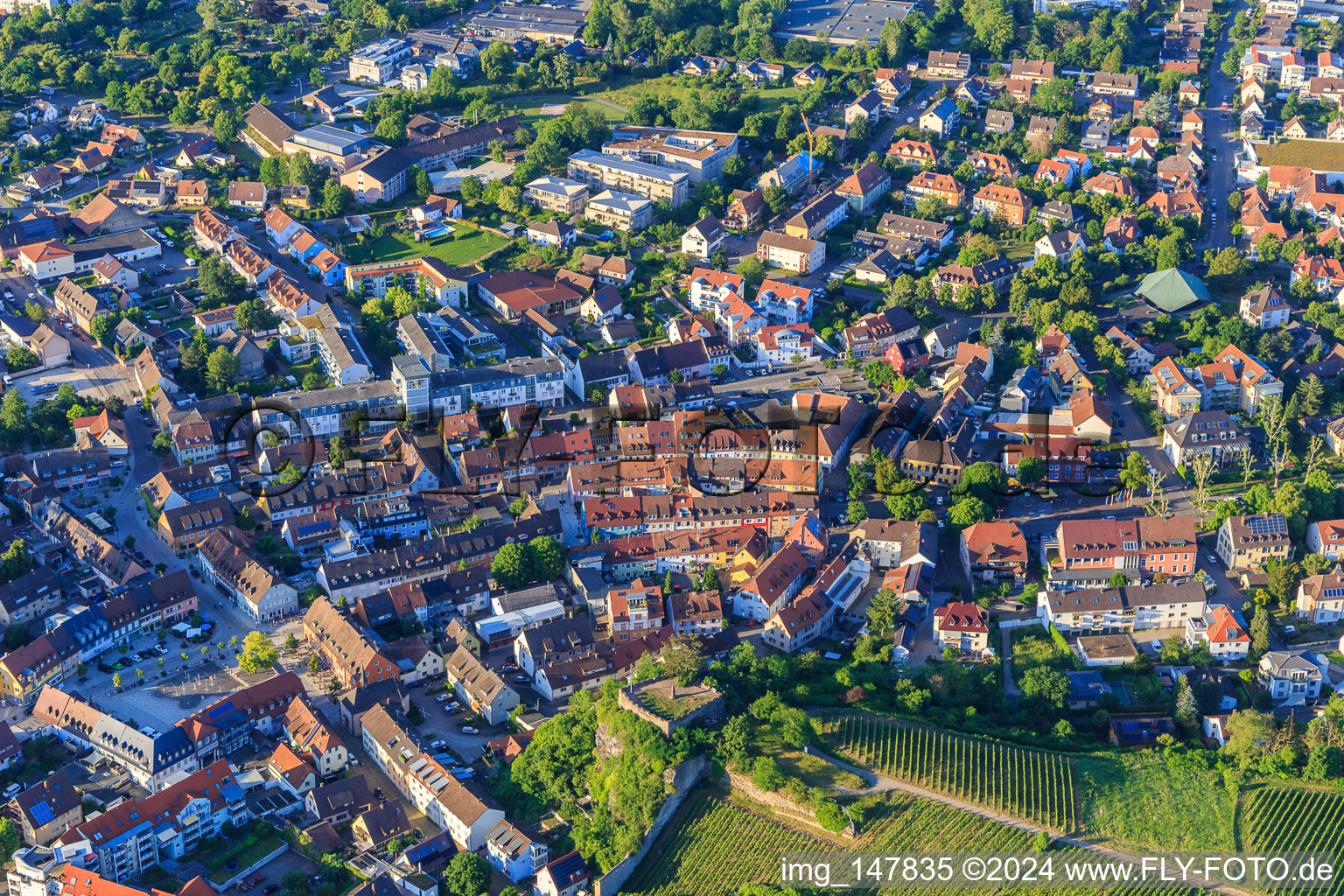 Vue aérienne de Centre-ville sous Eckartsberg à Breisach am Rhein dans le département Bade-Wurtemberg, Allemagne